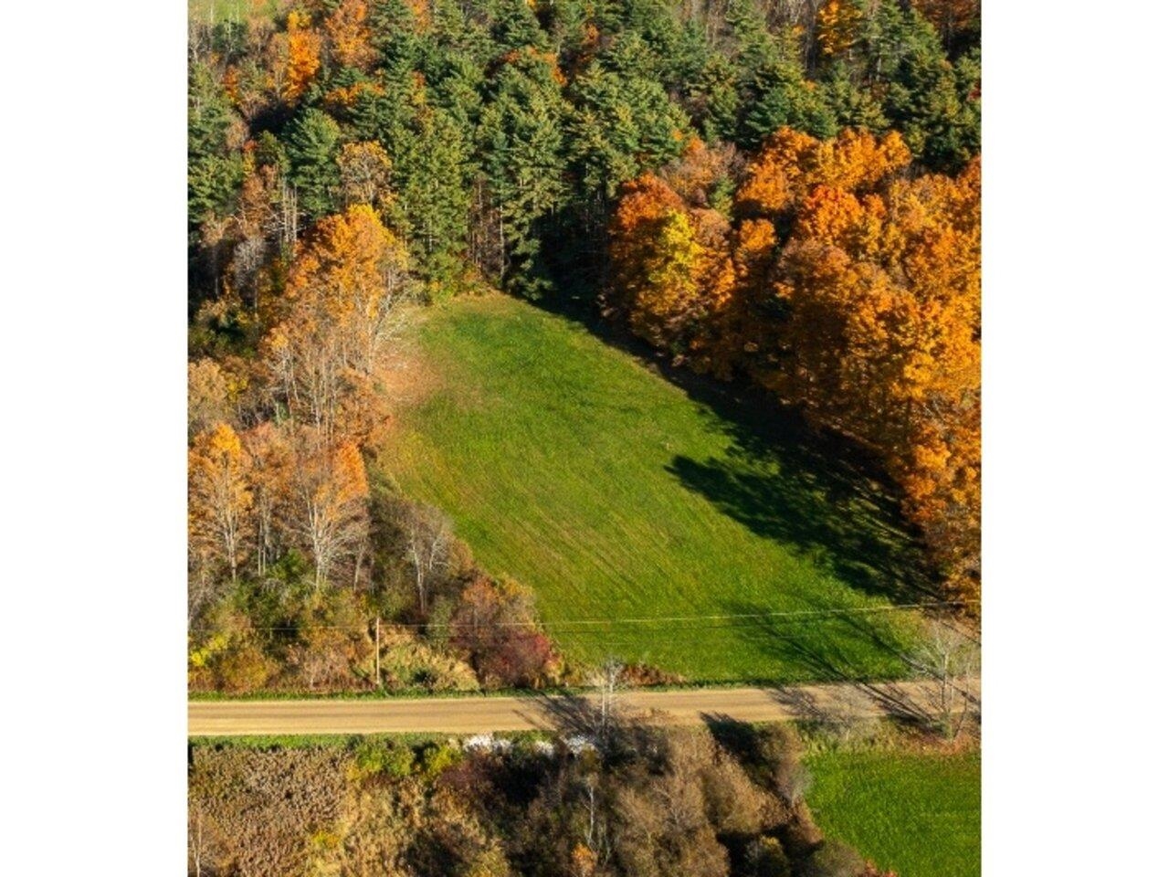 Private lot bordered by woods