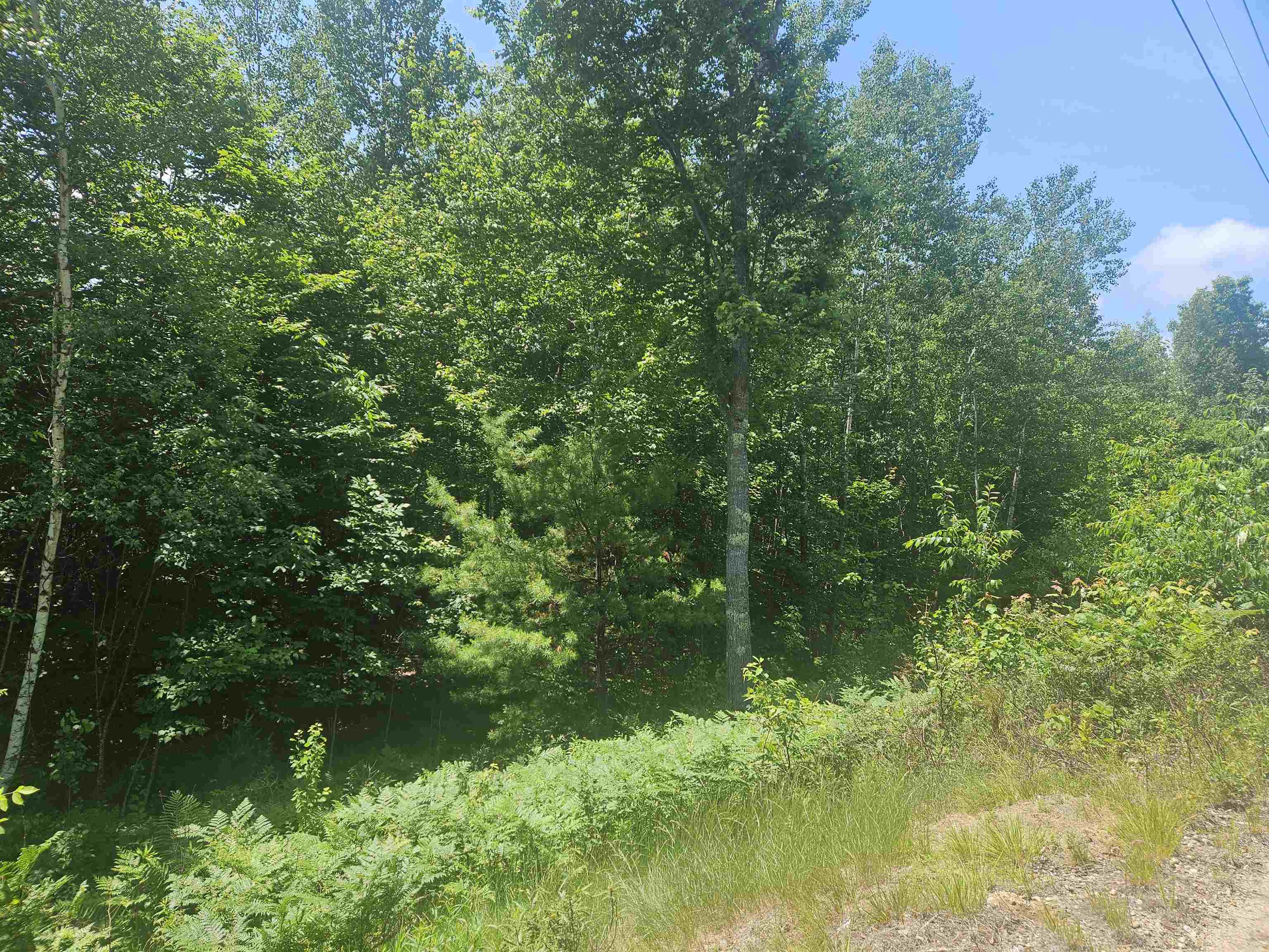 MLS #5033505 image #2