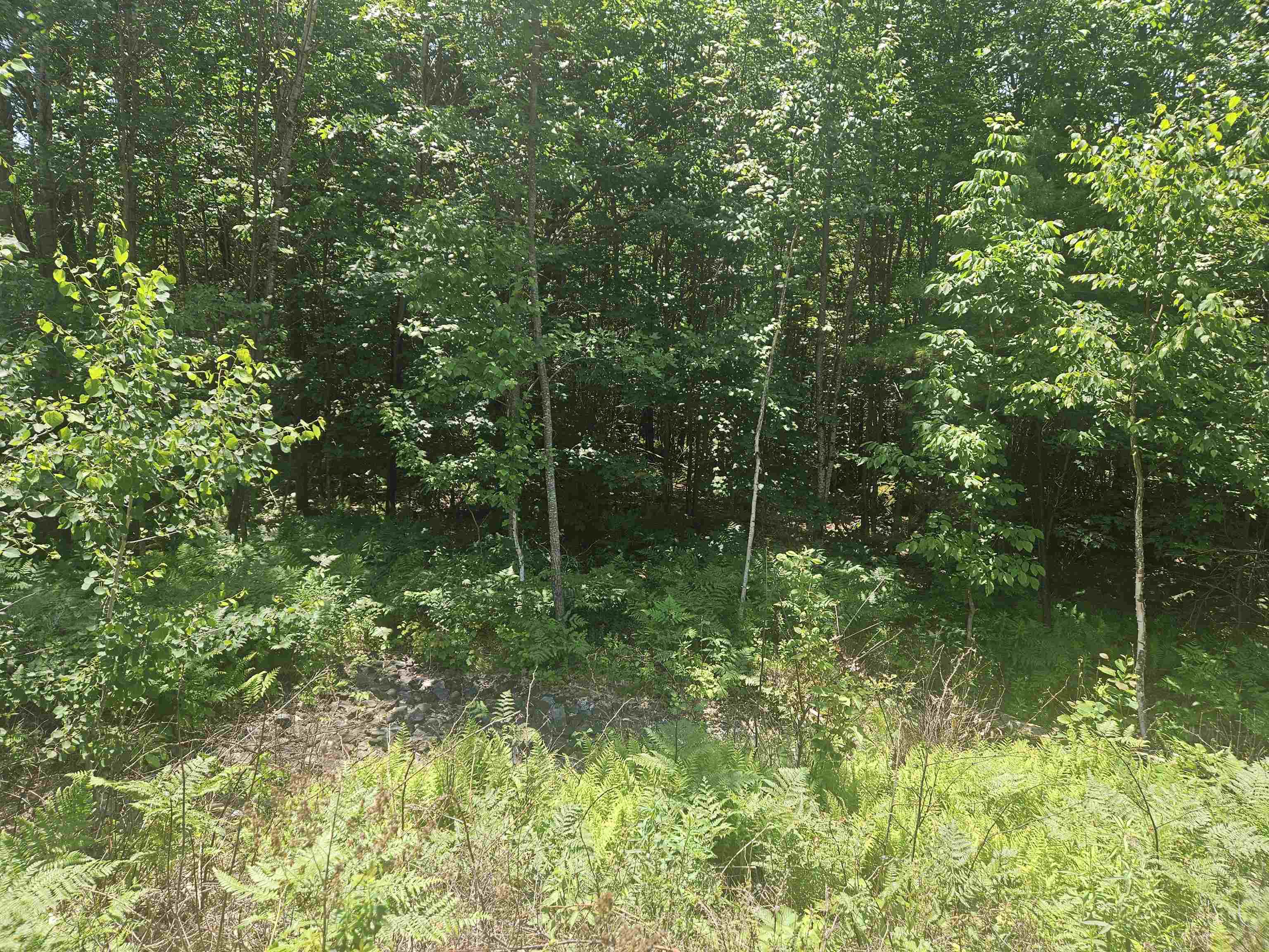 MLS #5033505 image #3