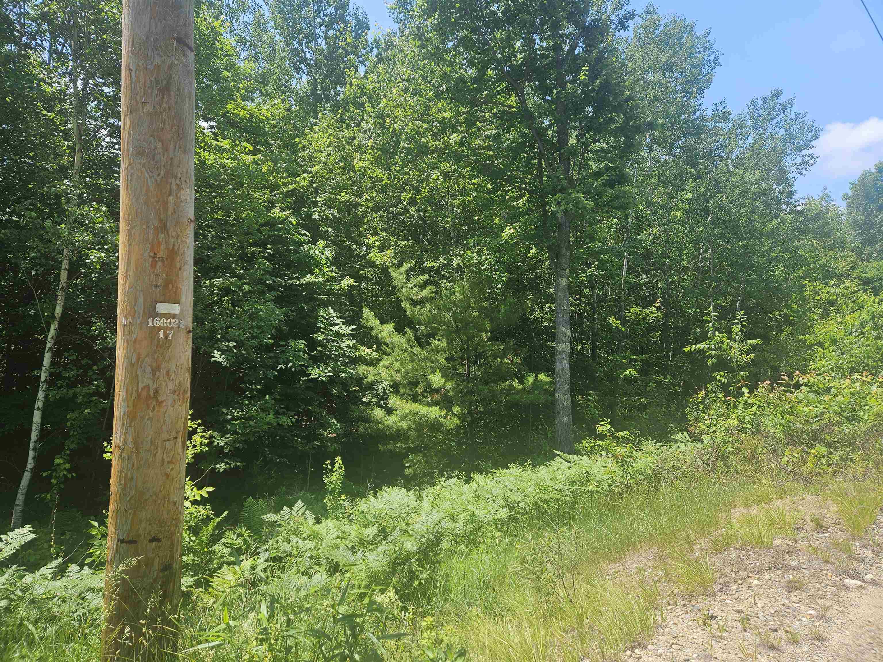 MLS #5033505 image #5