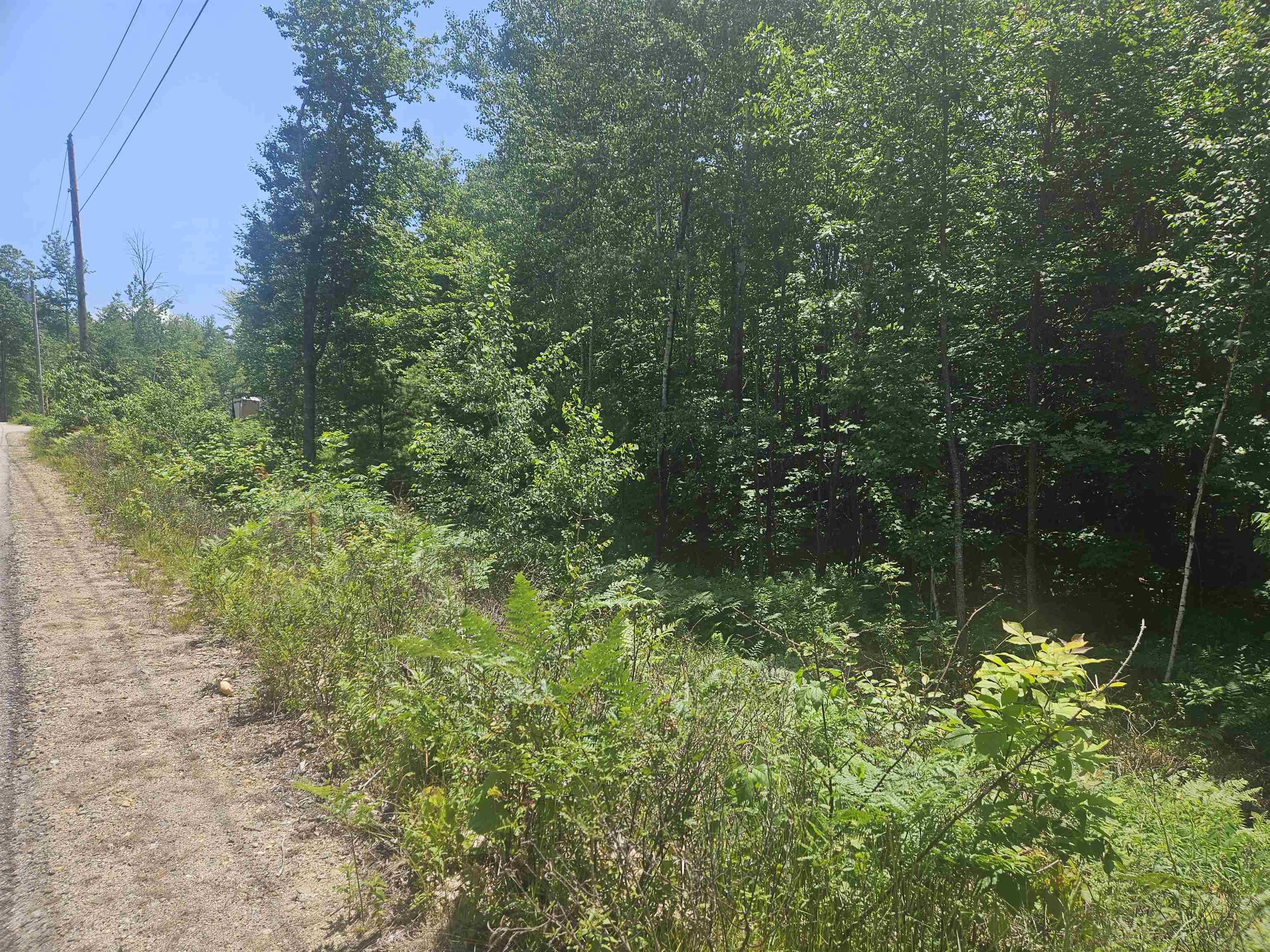 MLS #5033505 image #6