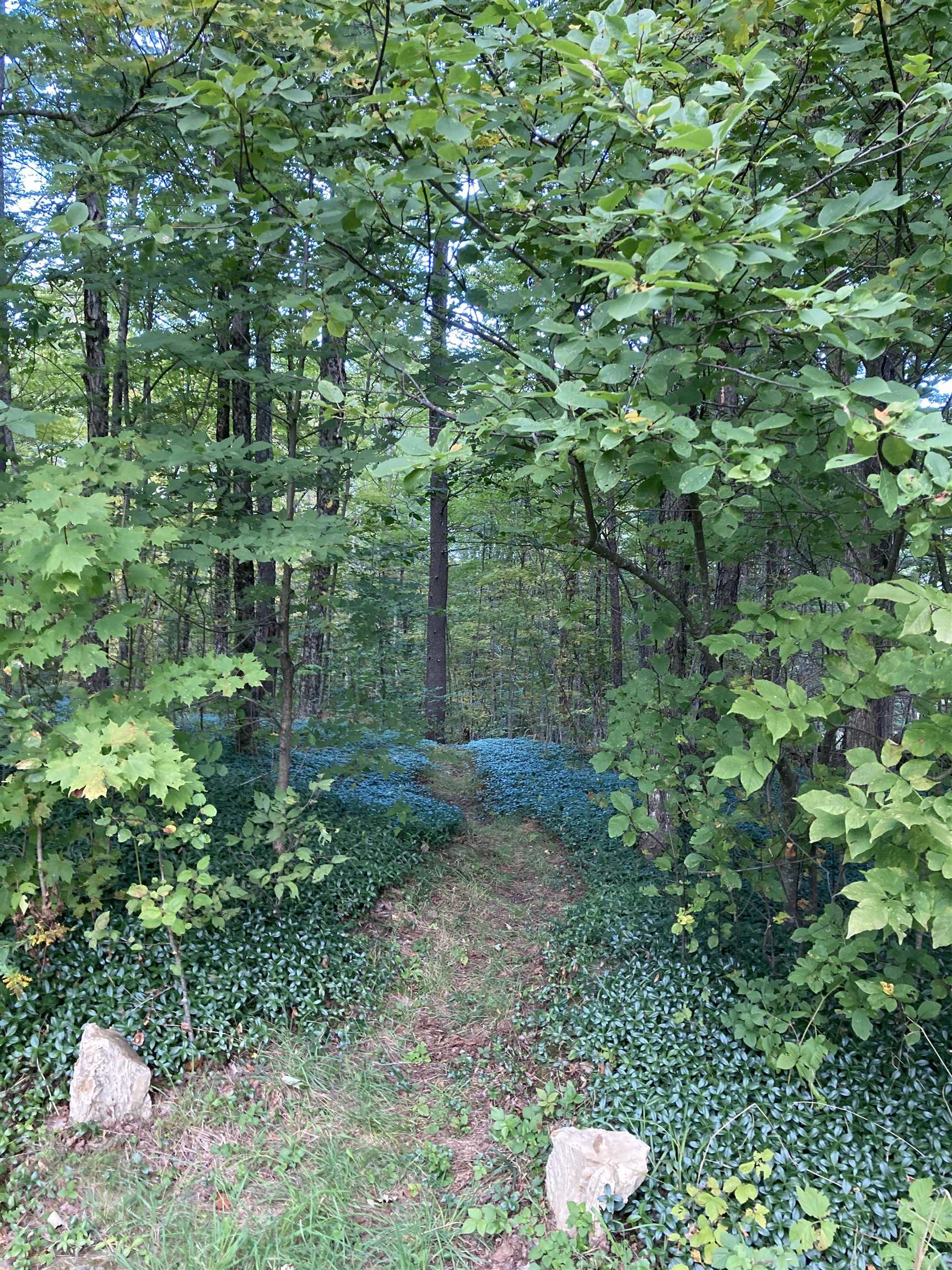  22897751