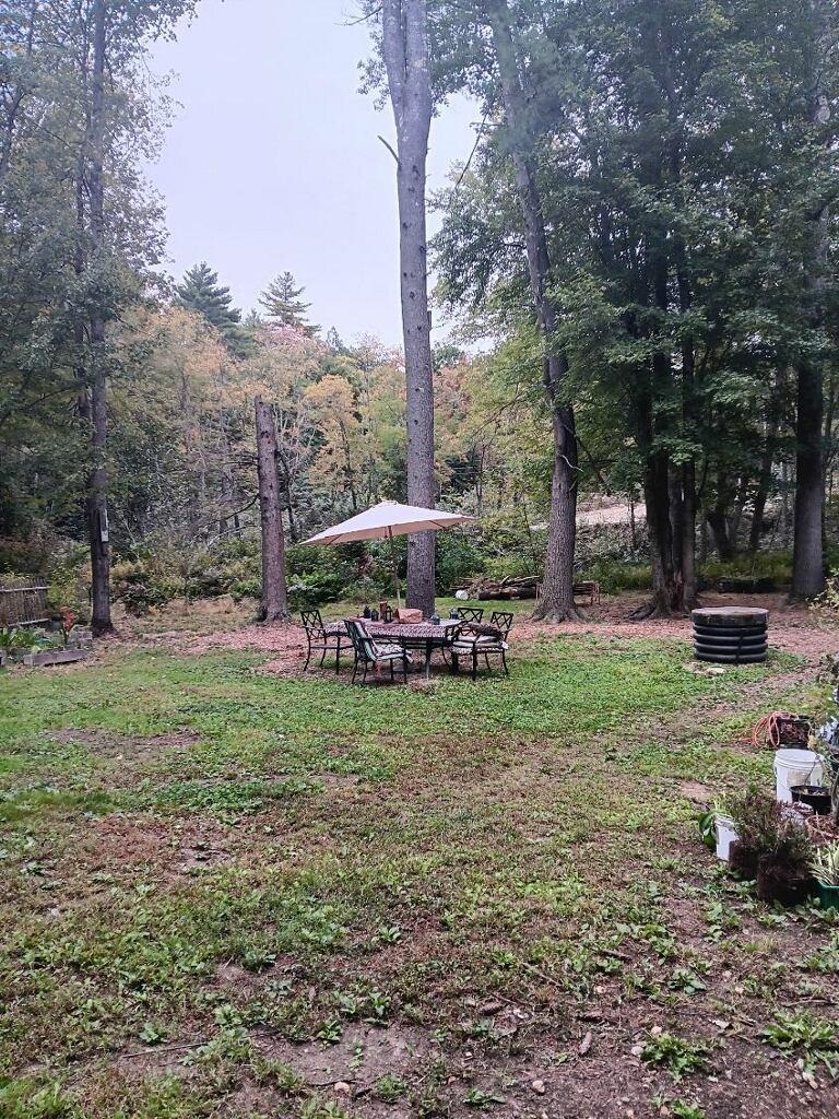 Photo 5 of 16