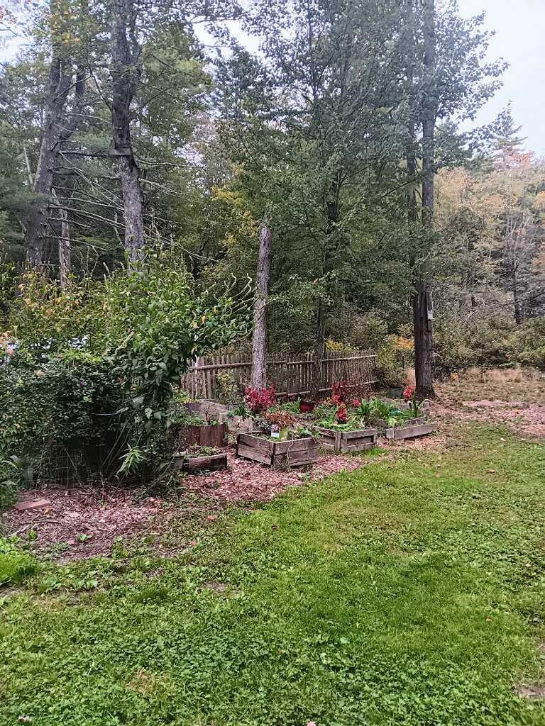 Photo 8 of 16