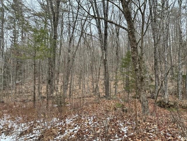 MLS #5033818 img 0