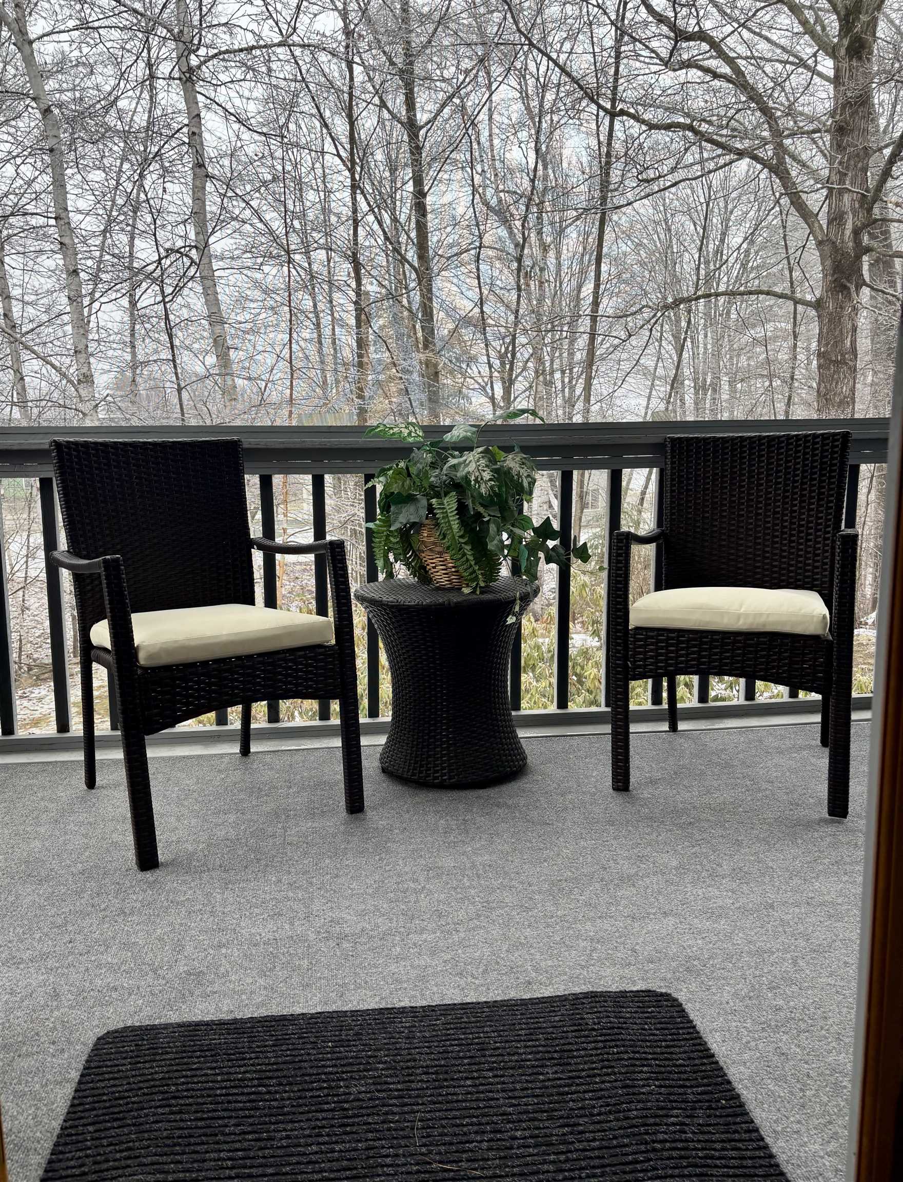 Screen Primary bedroom porch. 22924144