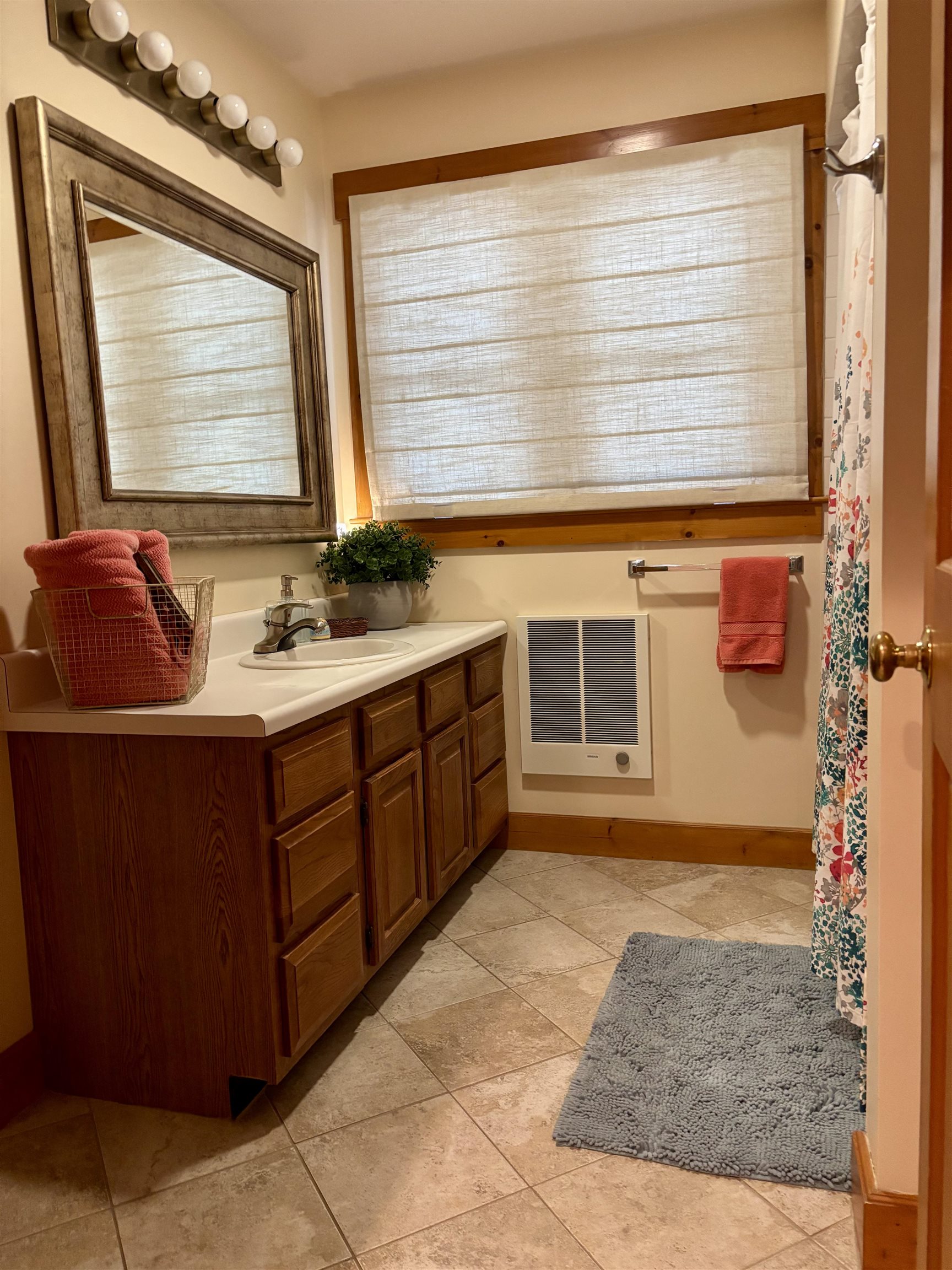 Guest bath 22924136