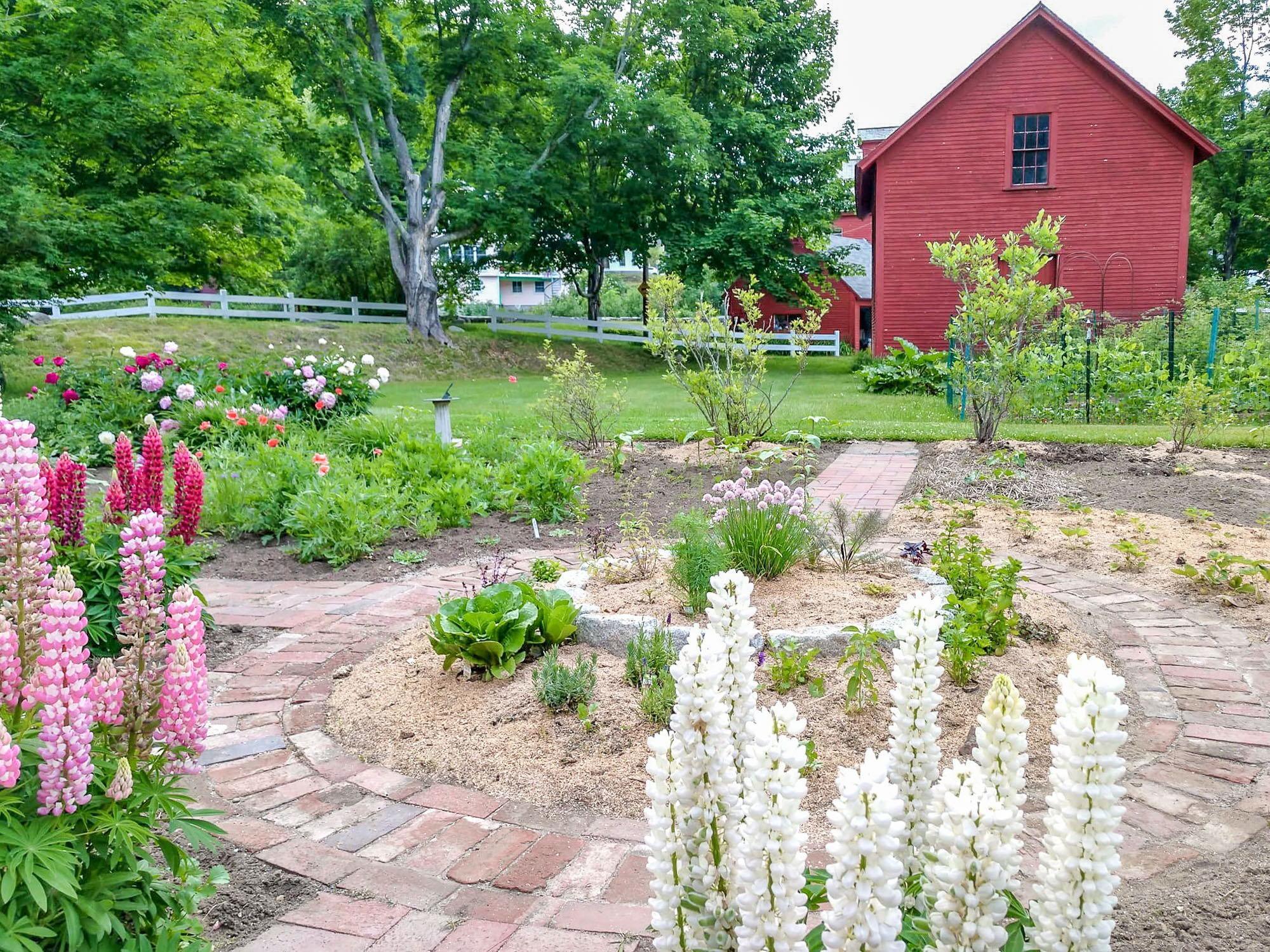 Mature Gardens