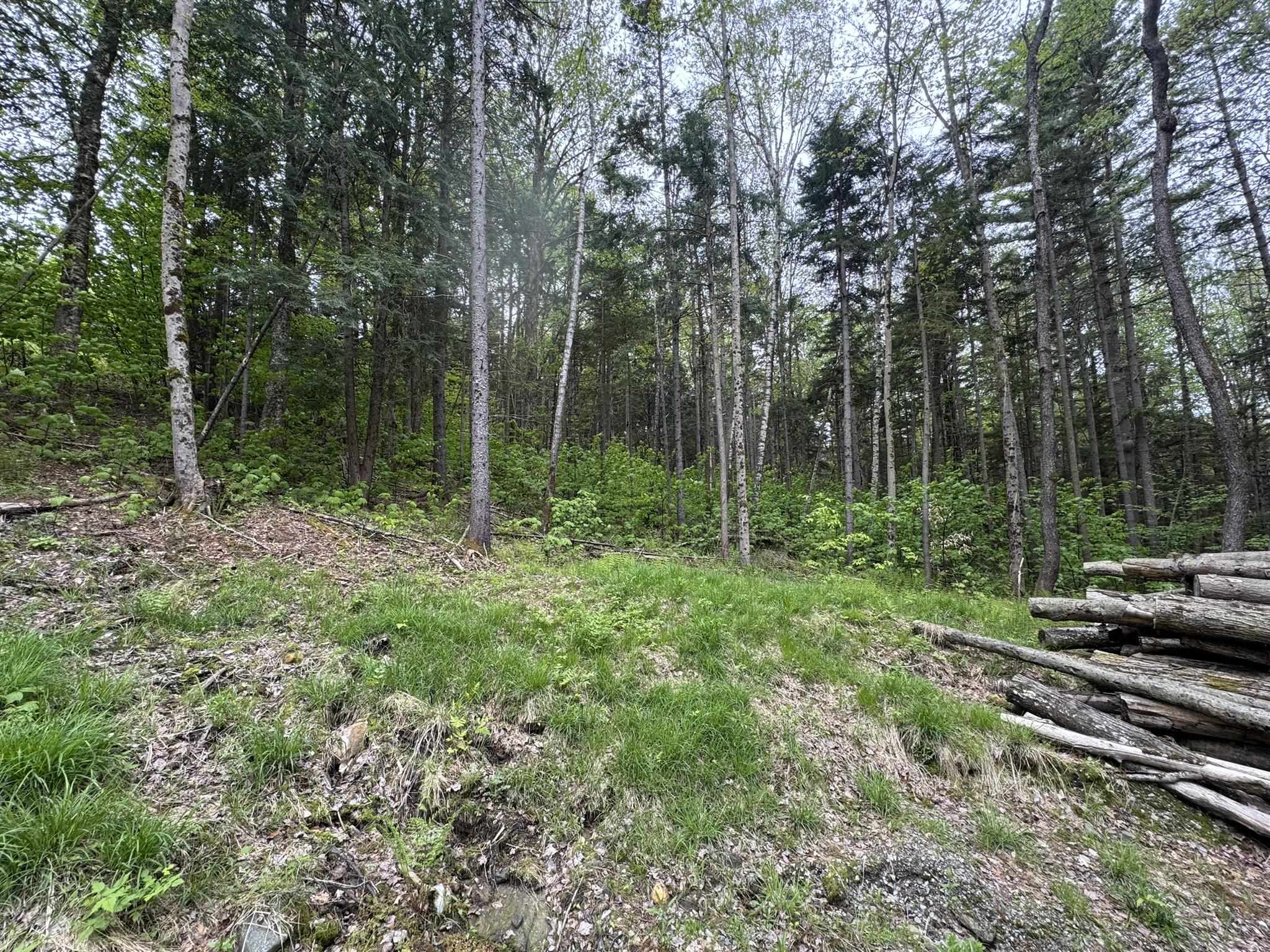 Wilmington VT Land for sale $69,000 | 3.58 Acres  | Price Per Acre $0  | Total Lots 2