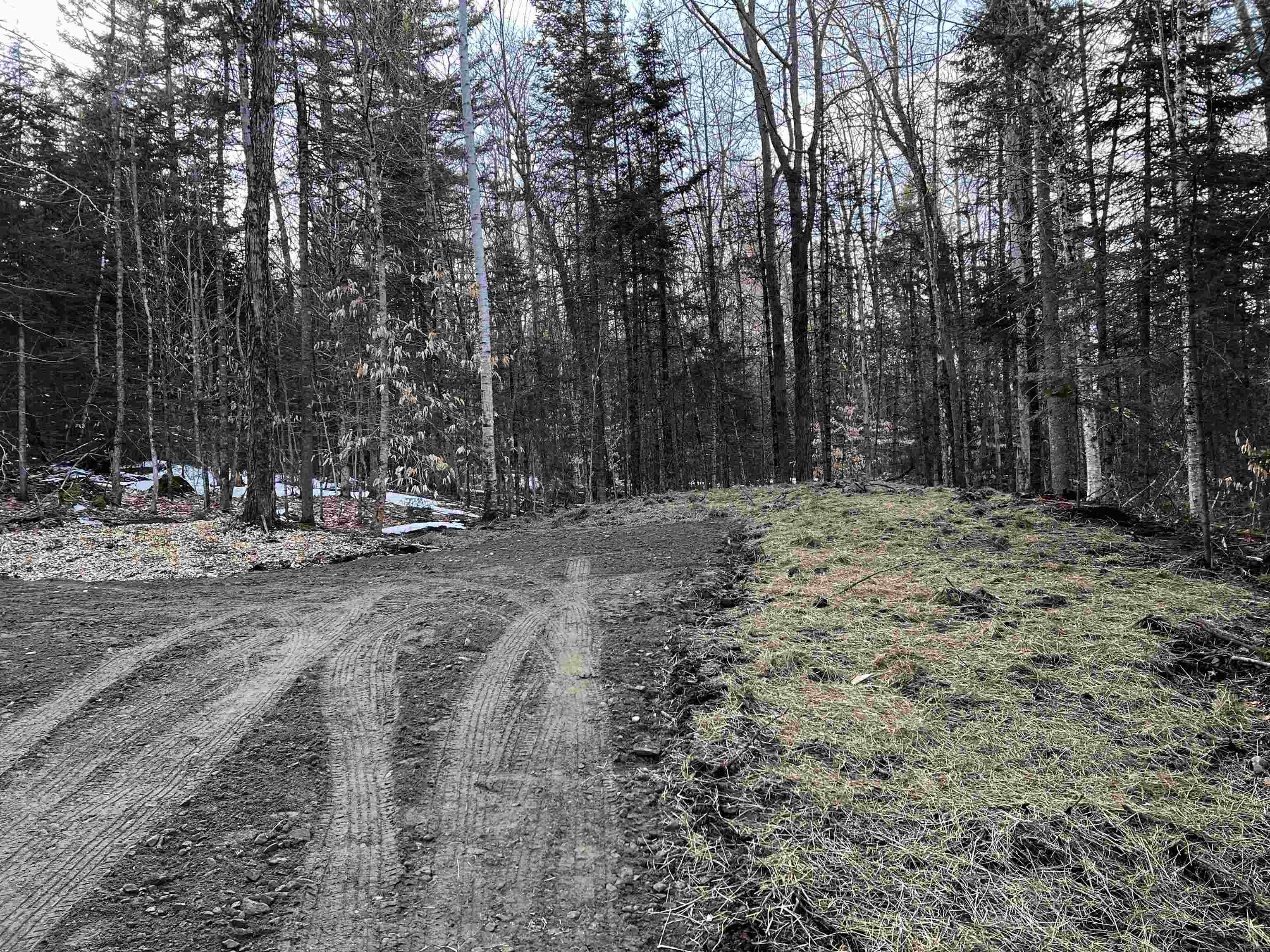 Photo of 00 Jackson Drive Dorchester NH 03266-4305