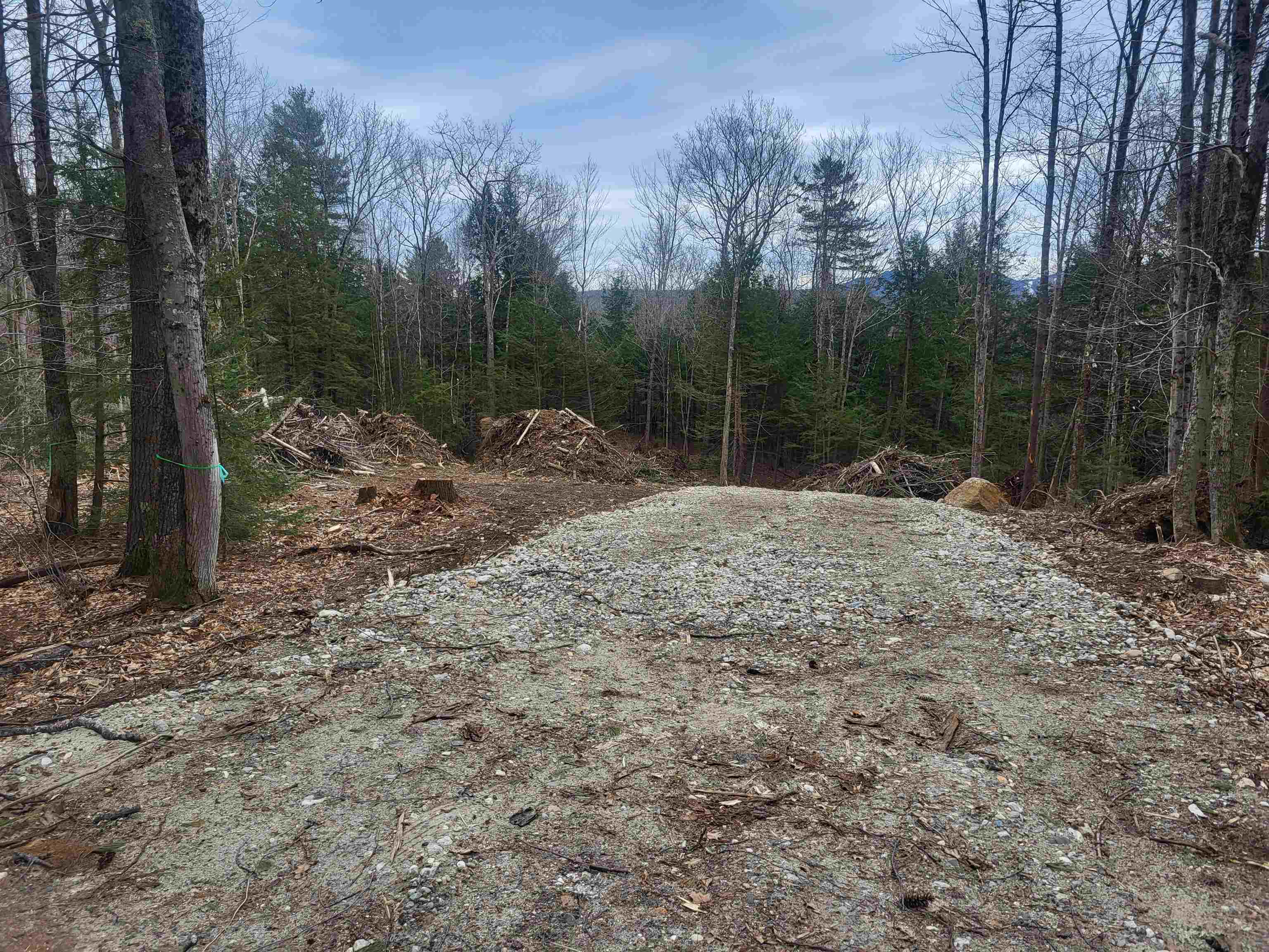 DANBURY NH Land / Acres for sale