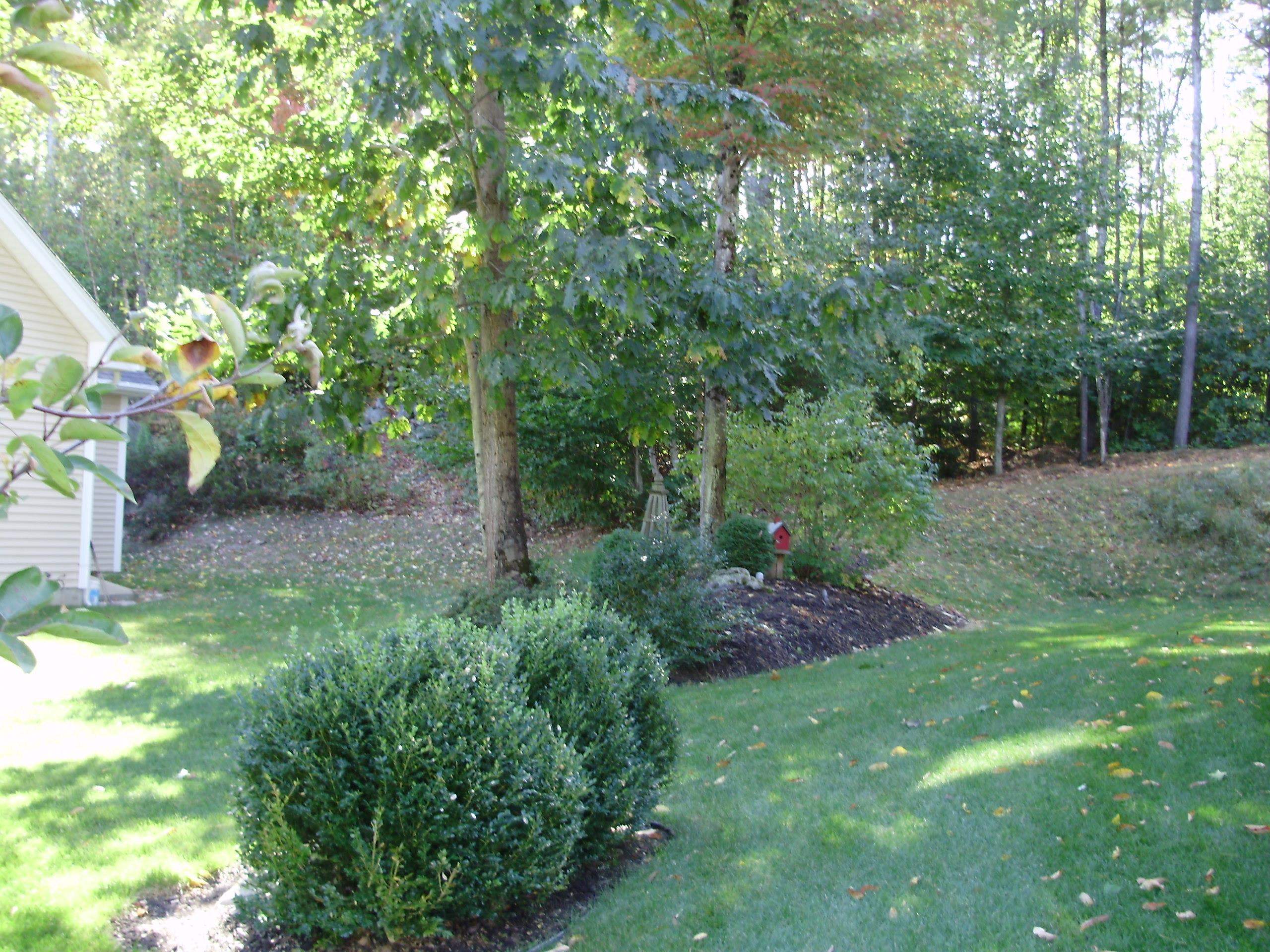 MLS #5036259 image #52