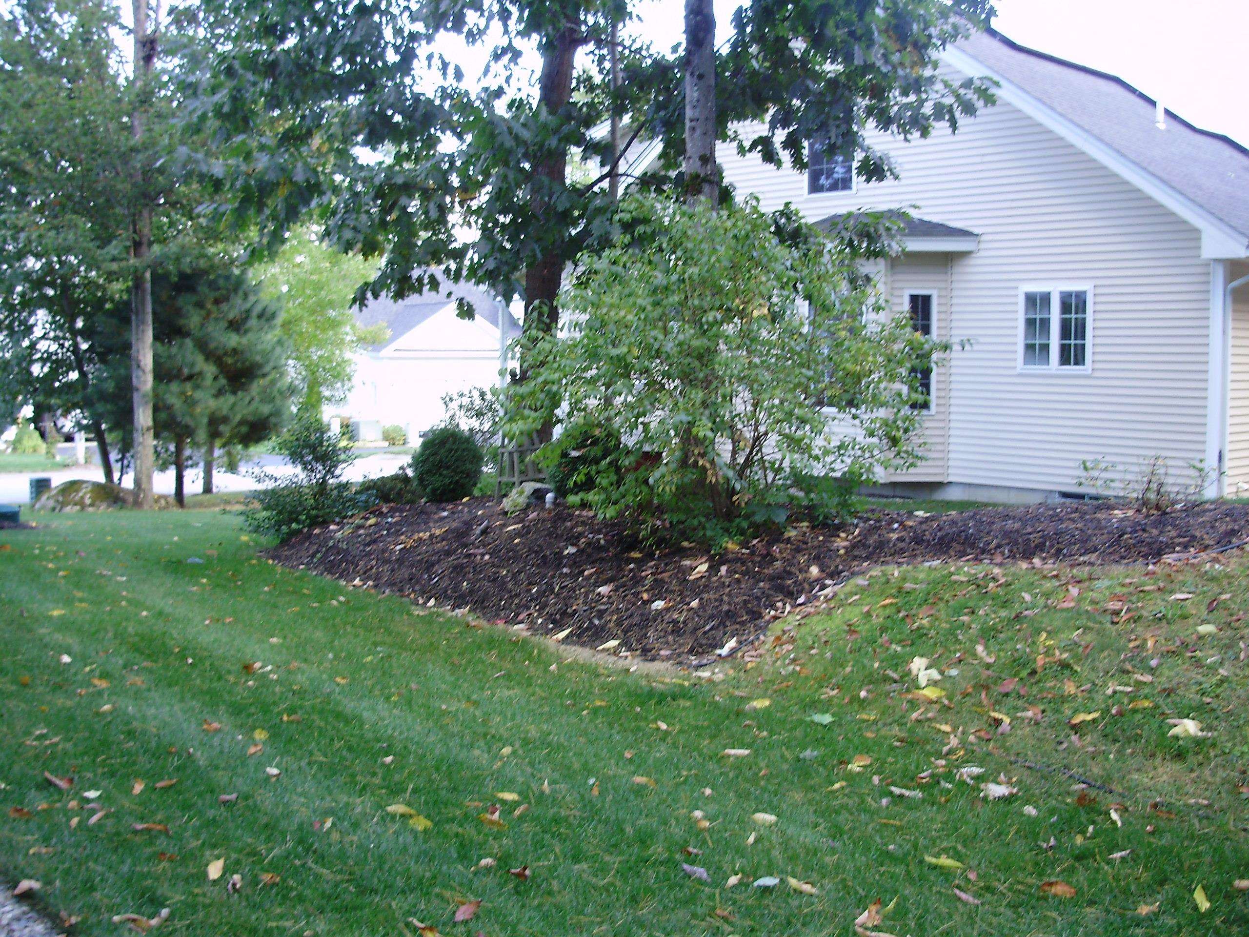 MLS #5036259 image #53