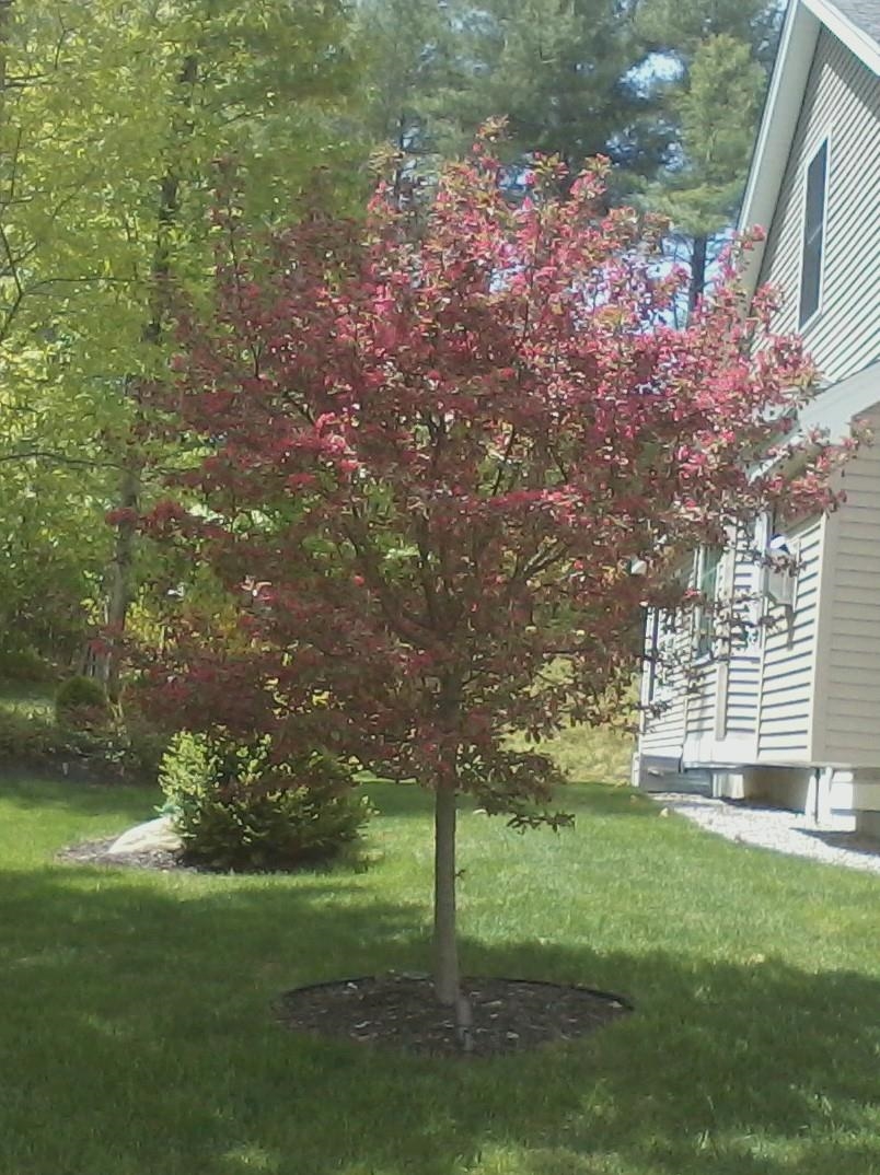 MLS #5036259 image #57