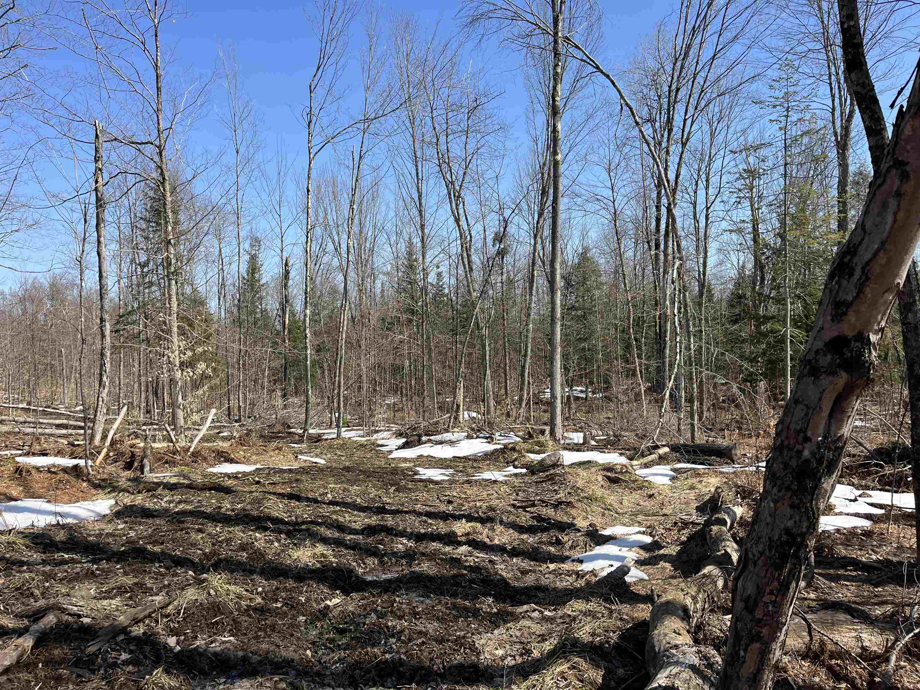 Homes for sale in Lowell, VT | 0 Blodgett Rd, Lowell, VT 05847 | MLS# 5036330