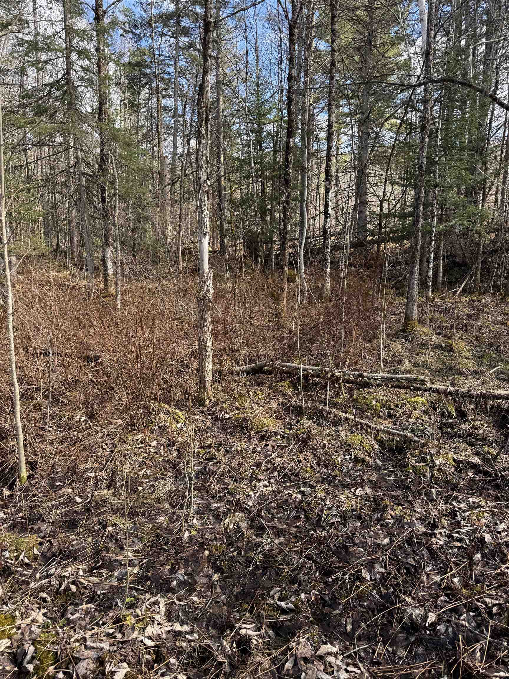 MLS #5036396 image #12