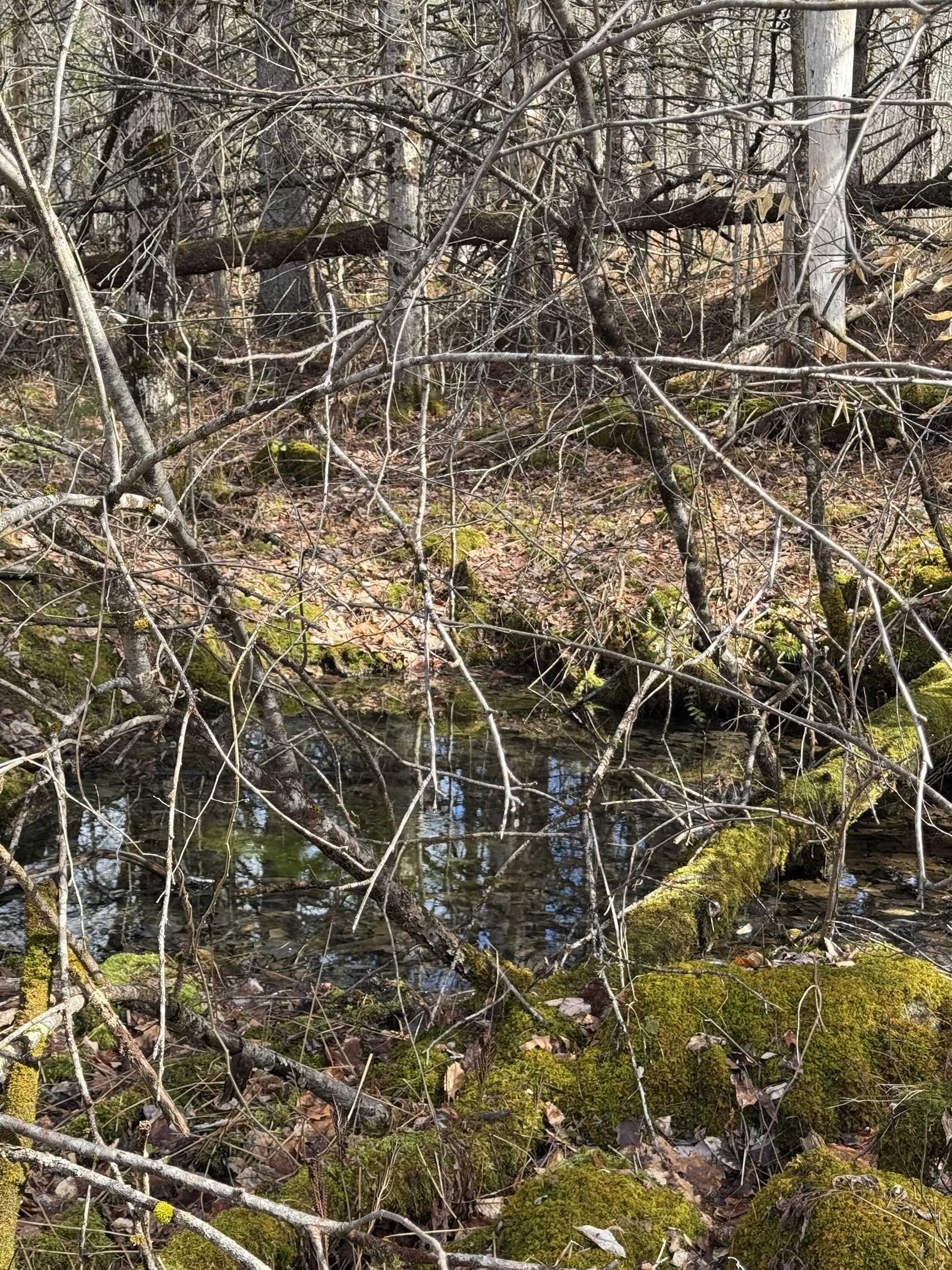 MLS #5036396 image #13