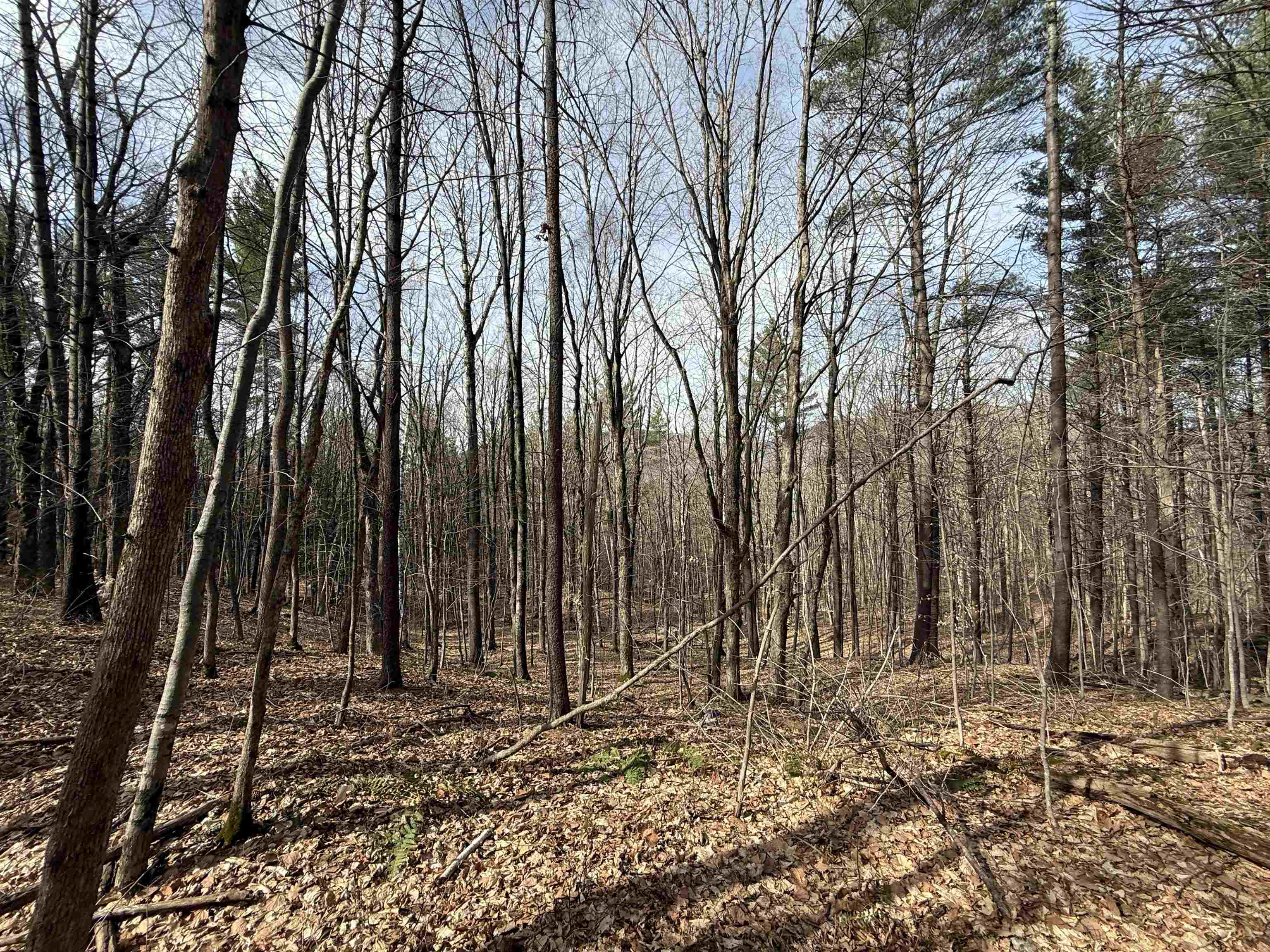 MLS #5036805 image #13