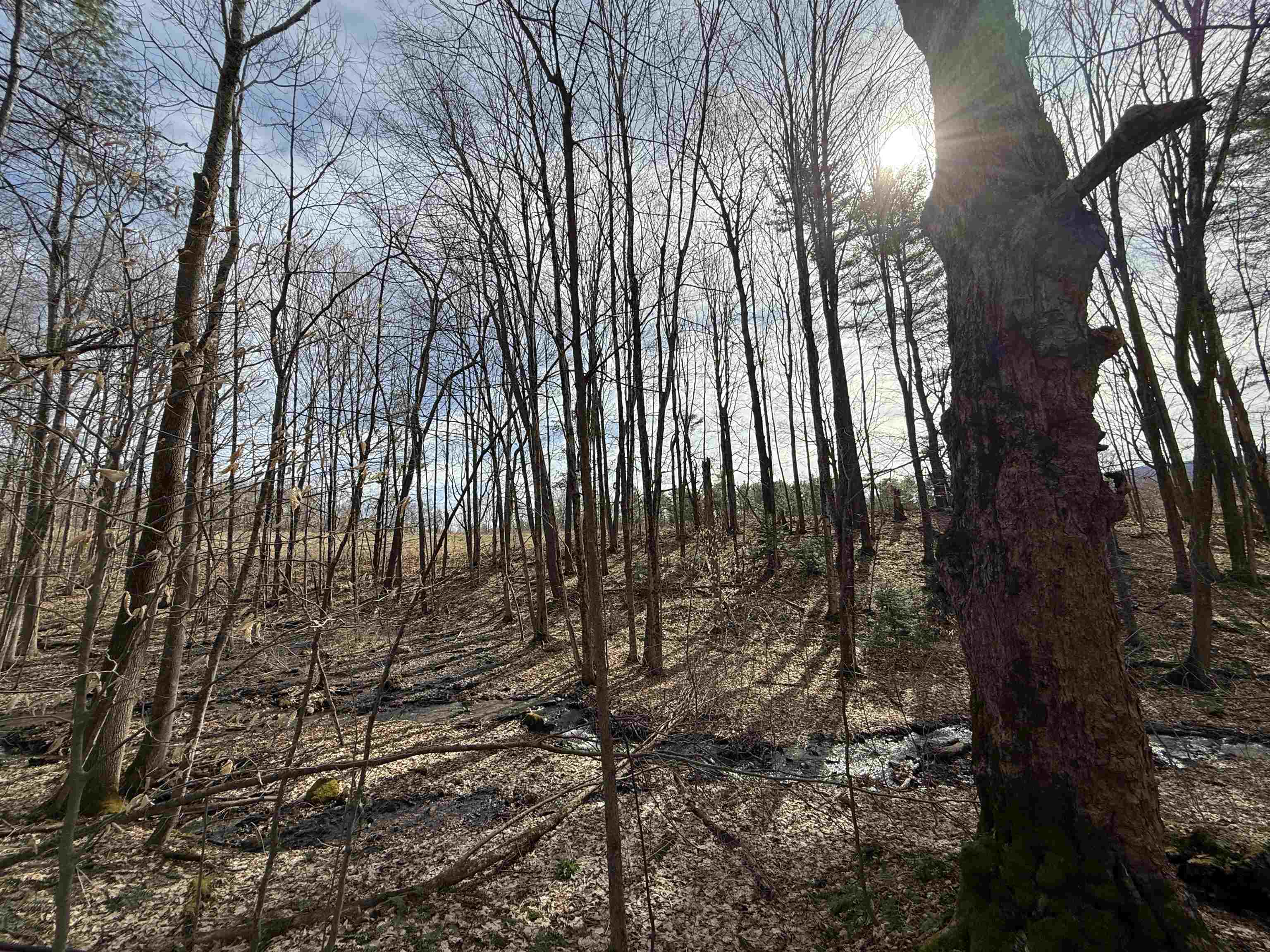 MLS #5036805 image #14