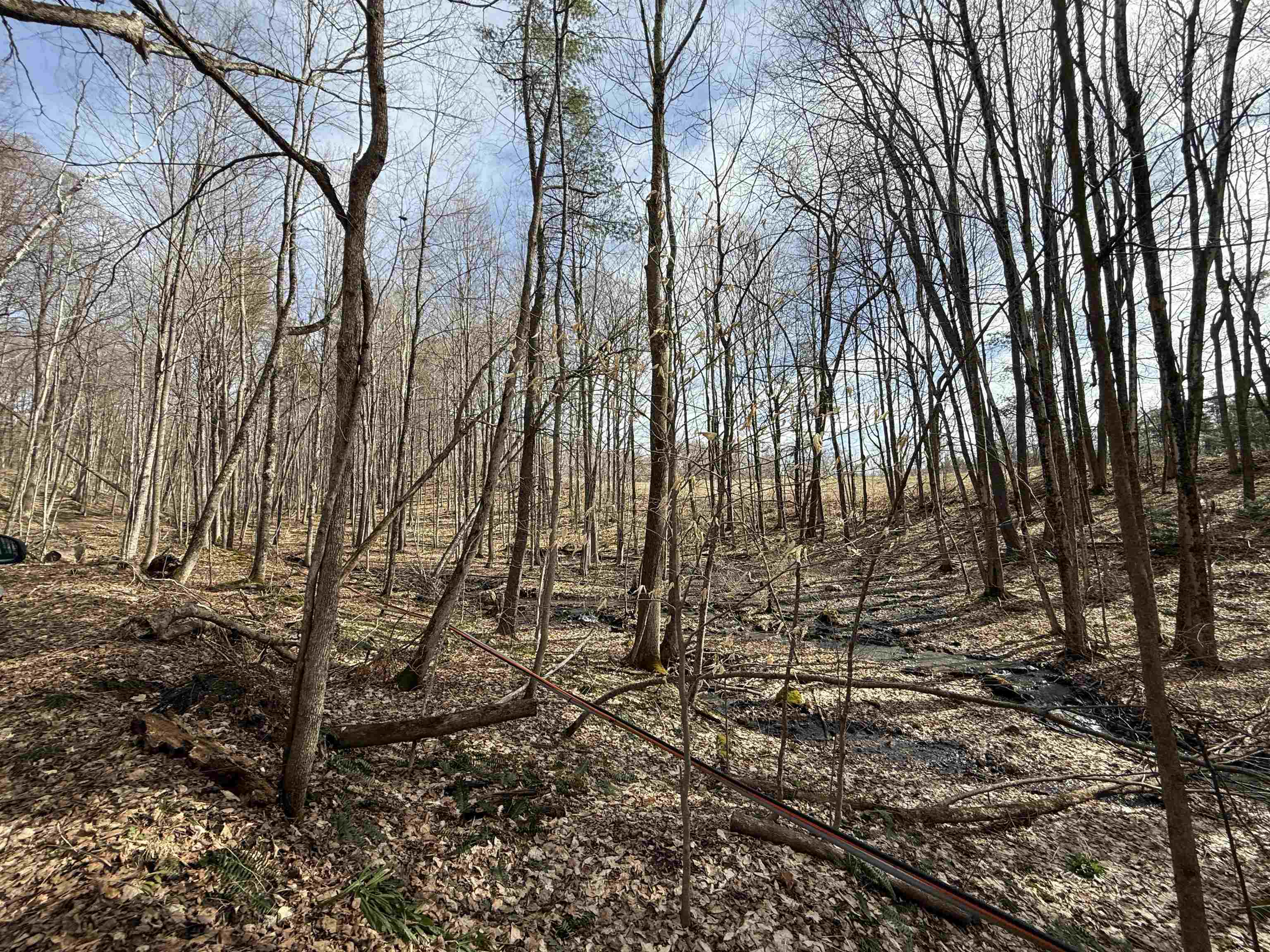 MLS #5036805 image #15