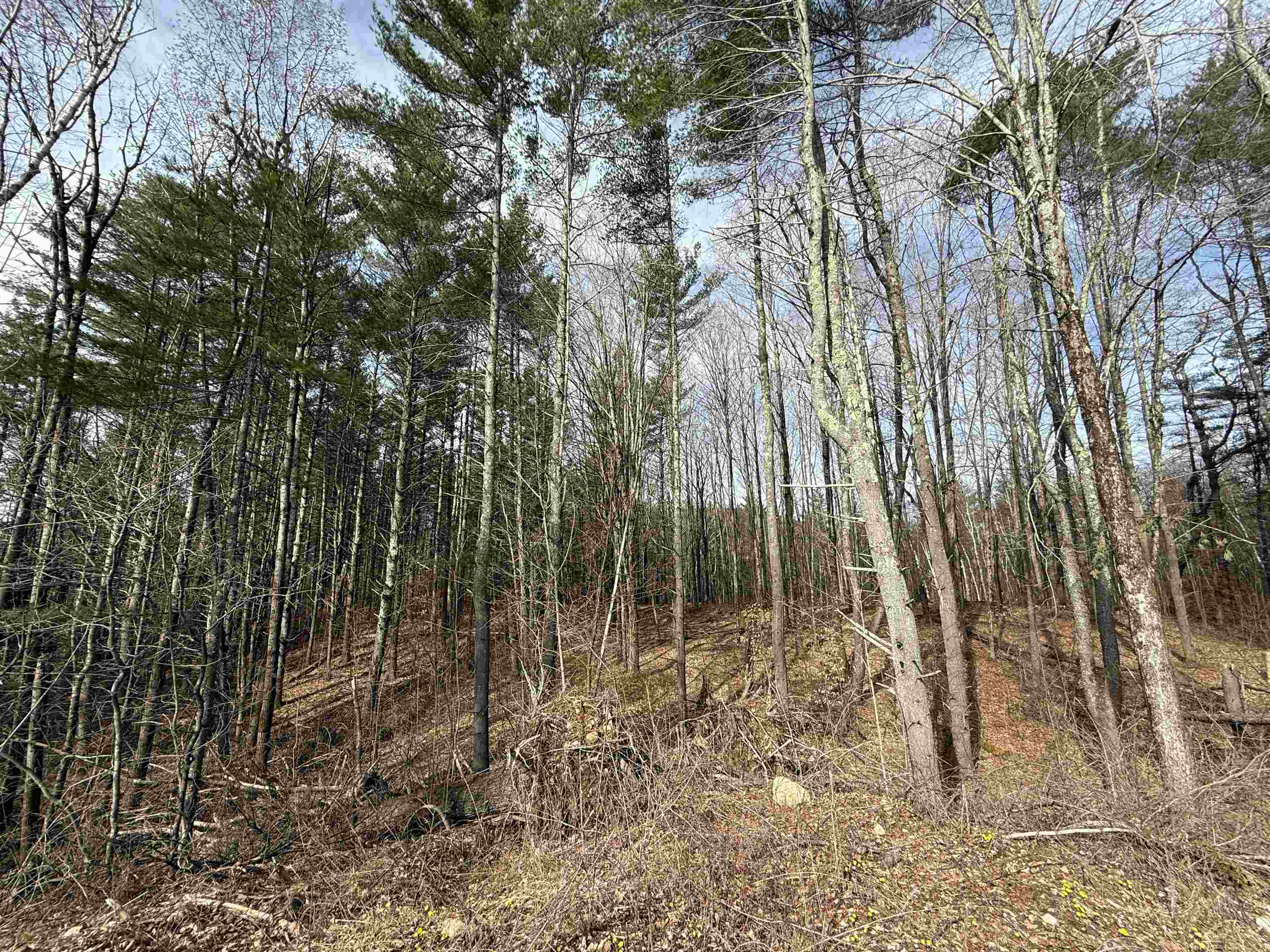 MLS #5036805 image #17