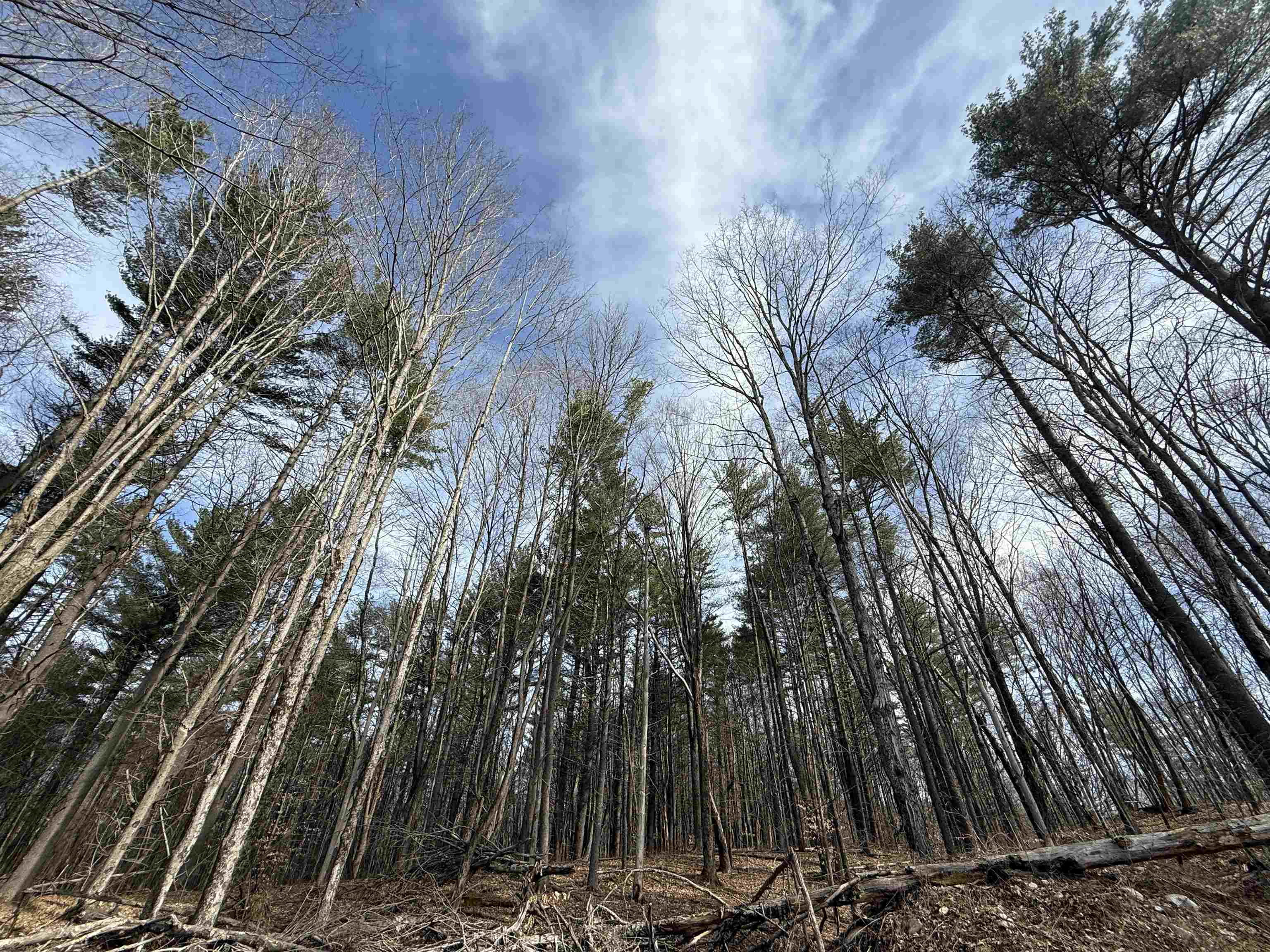 MLS #5036805 image #18