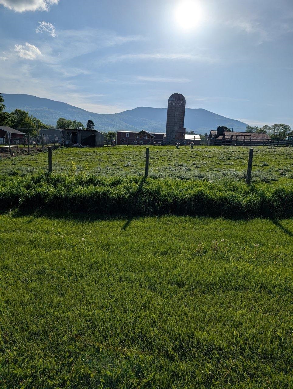 MLS #5036805 image #9