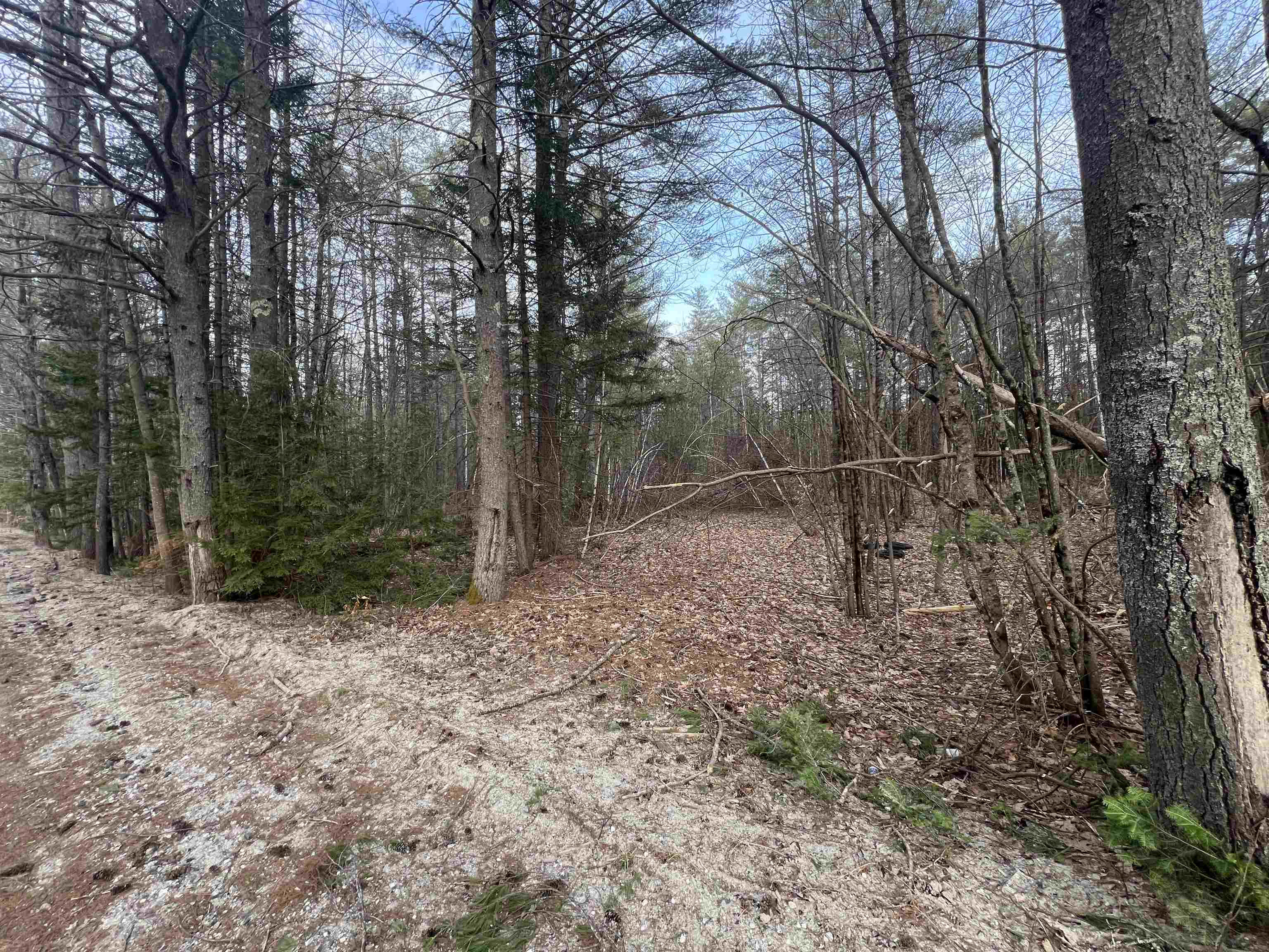 DANBURY NH Land / Acres for sale