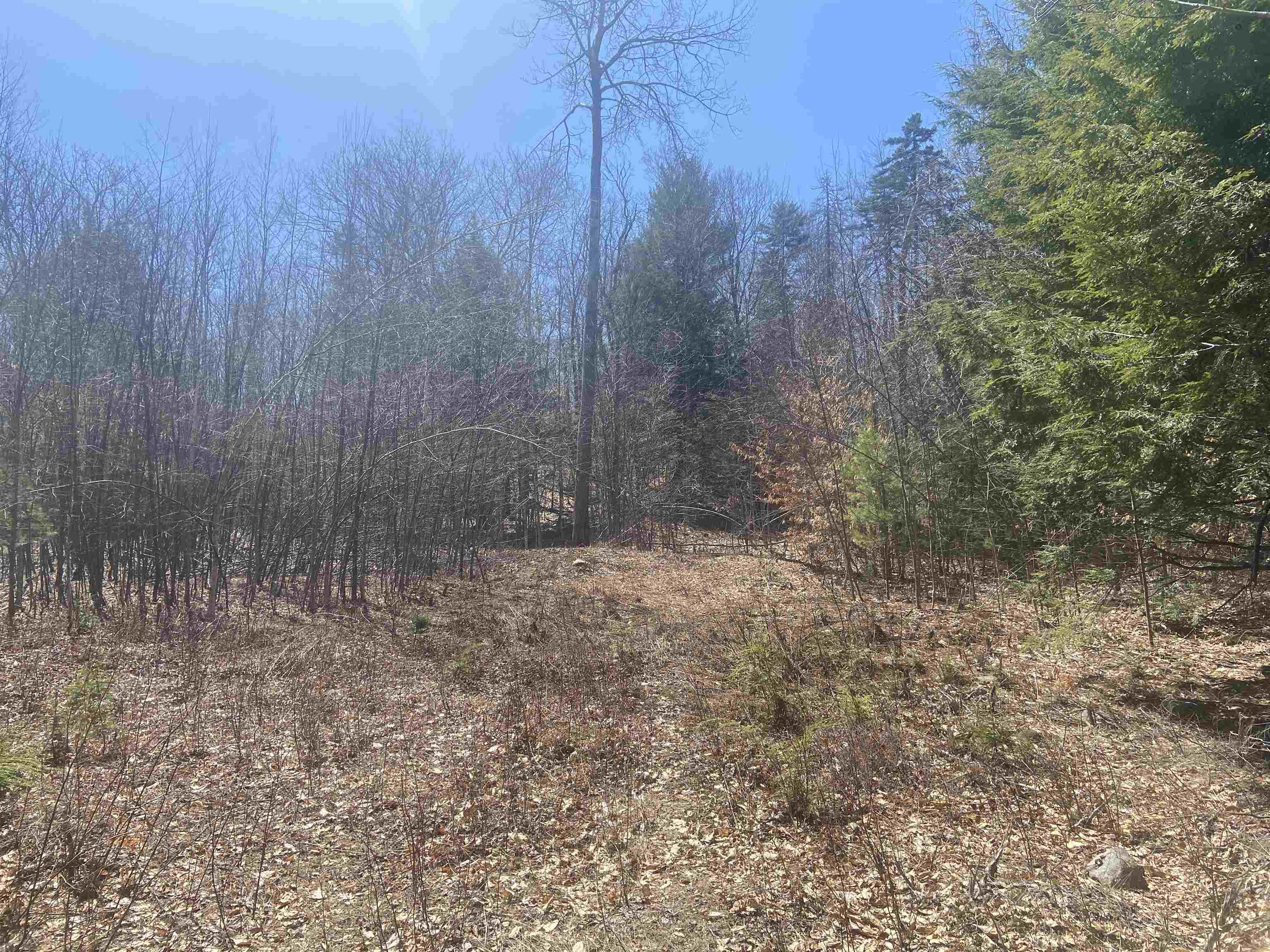Middle Lot Site