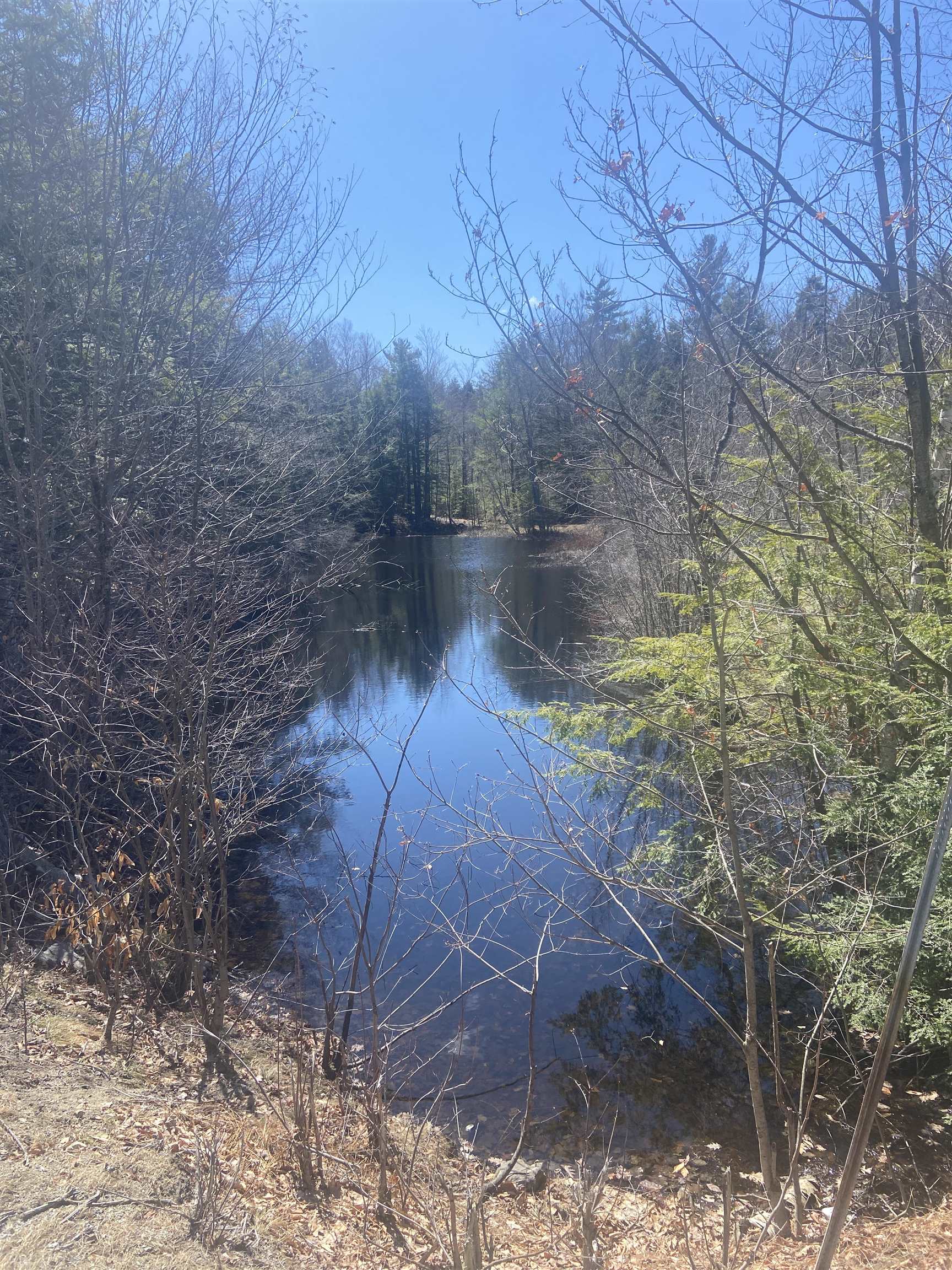 Small Pond