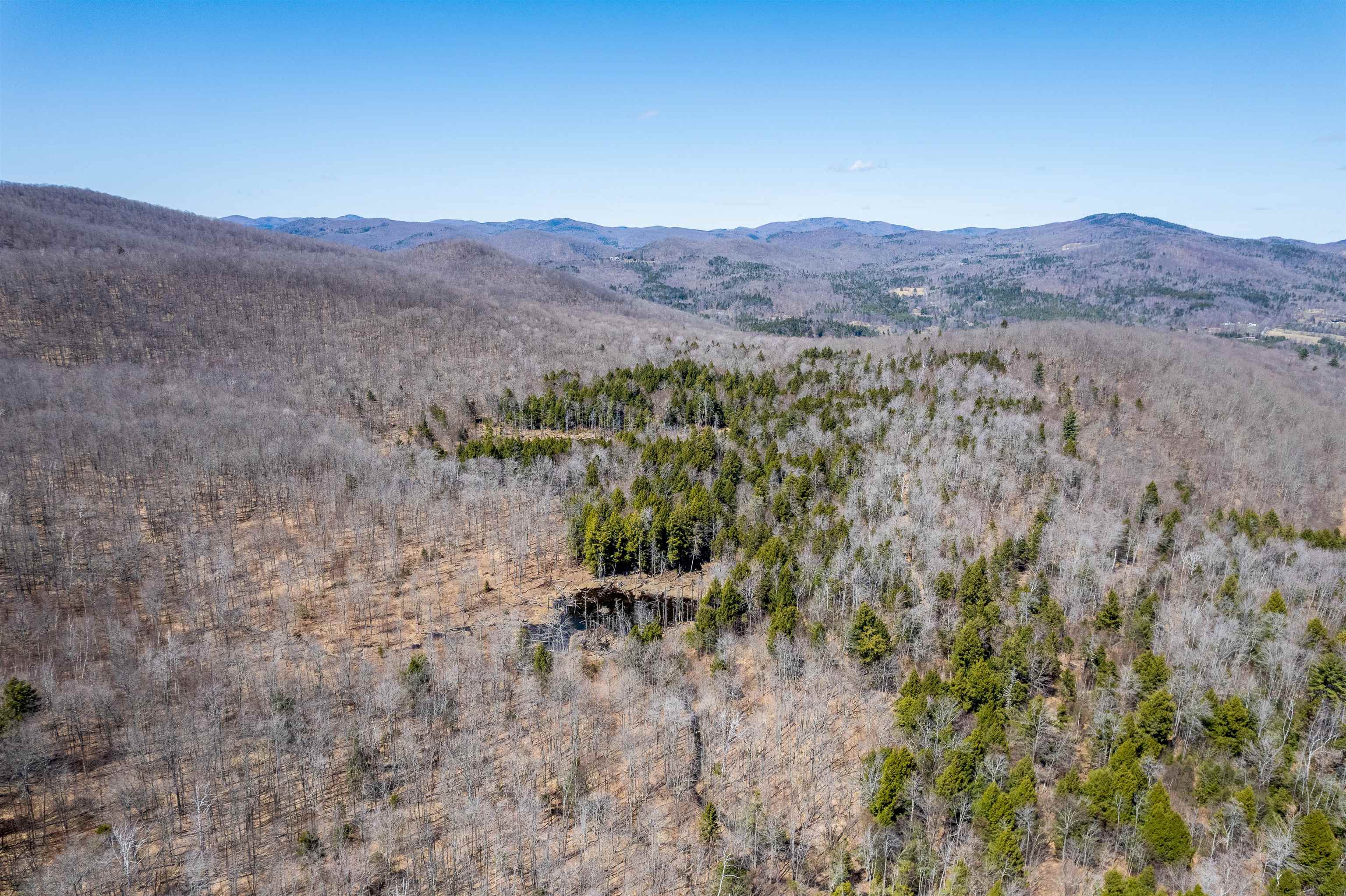 Beaver Pond 23034272