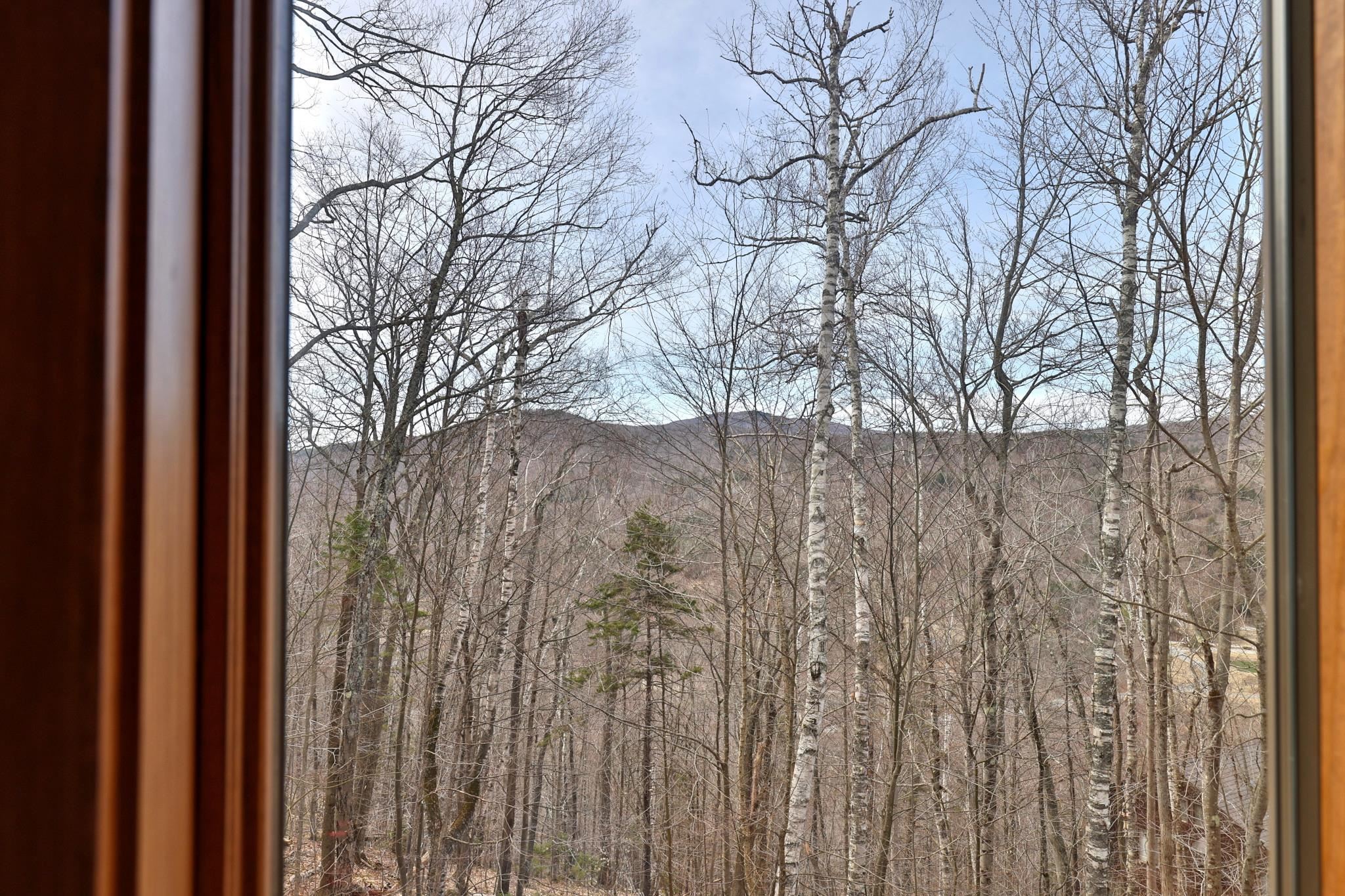 View from primary