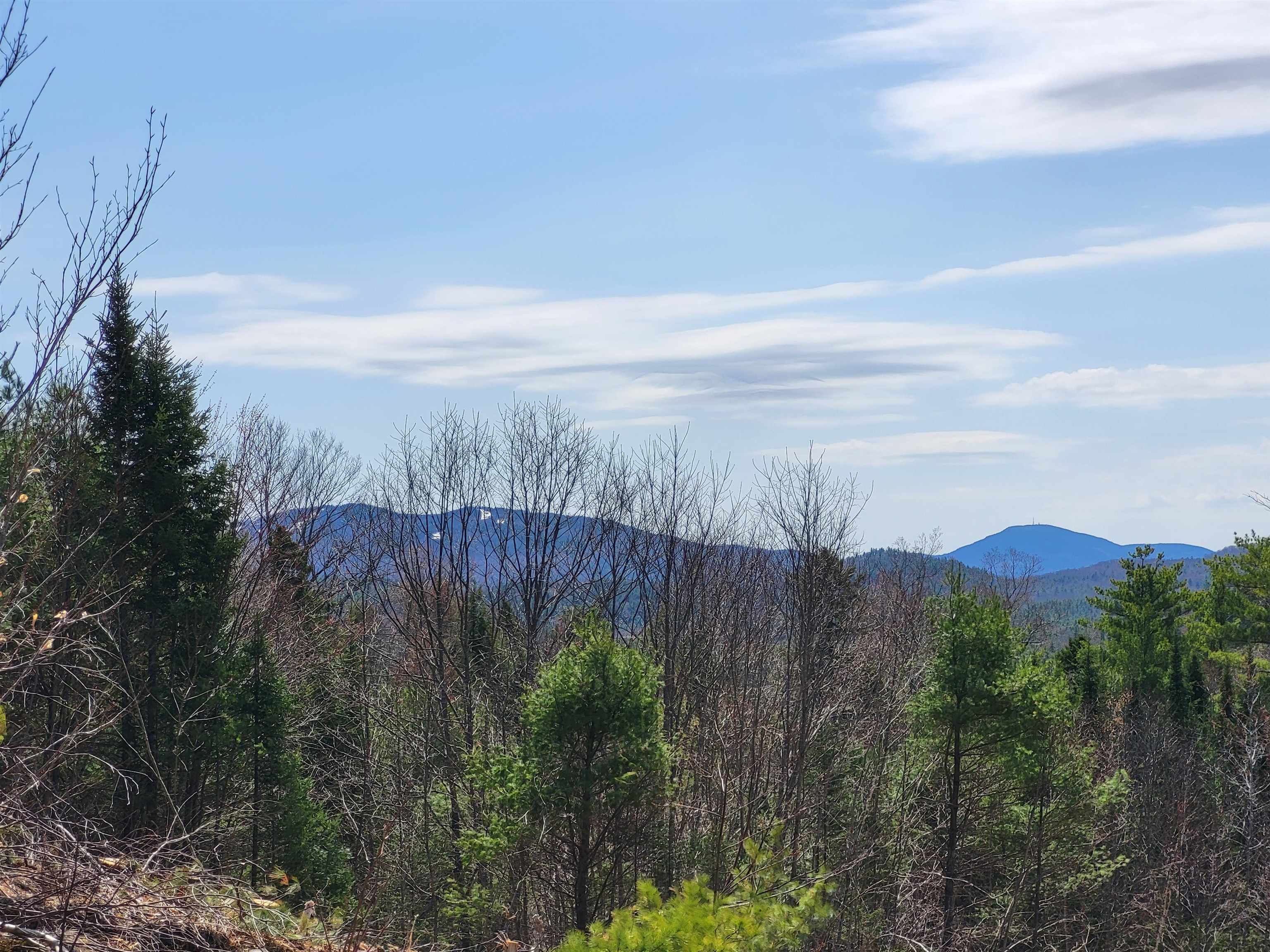 DANBURY NH Land / Acres for sale