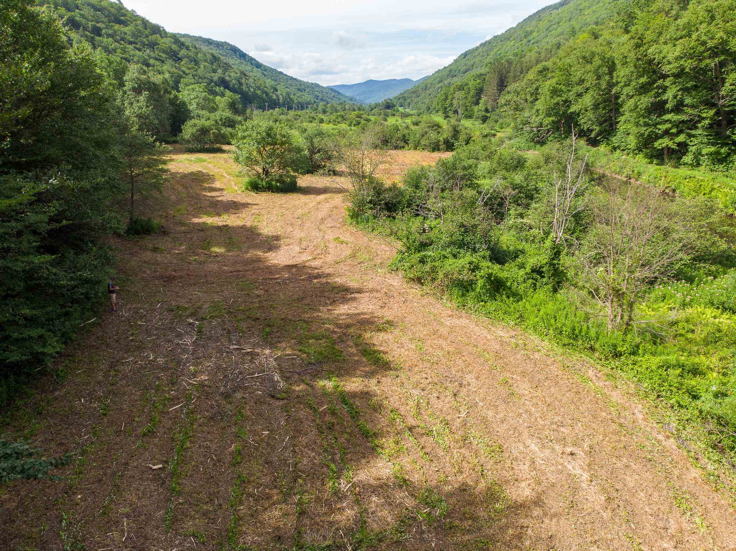 House site