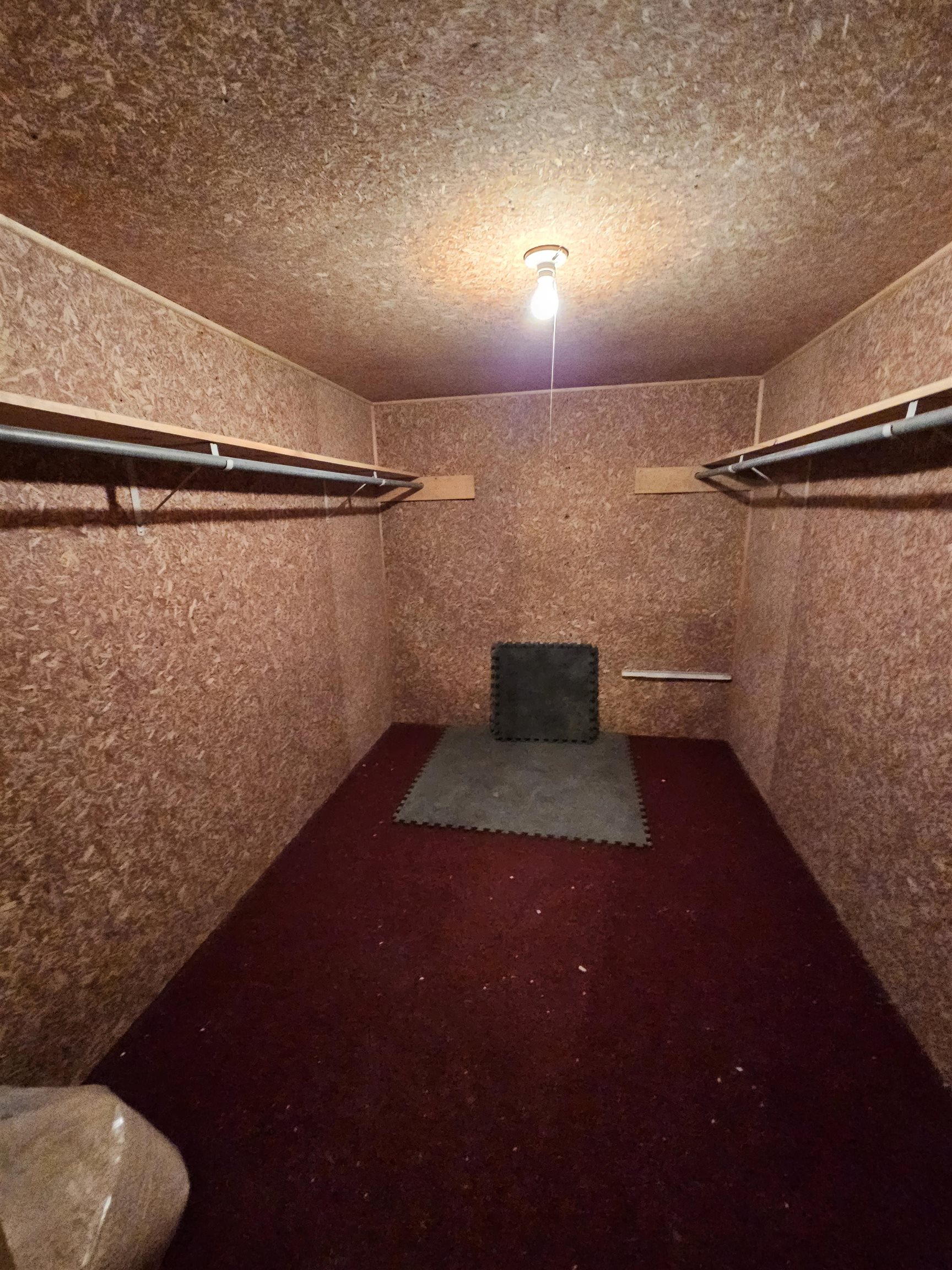 Cedar Closet in Basement