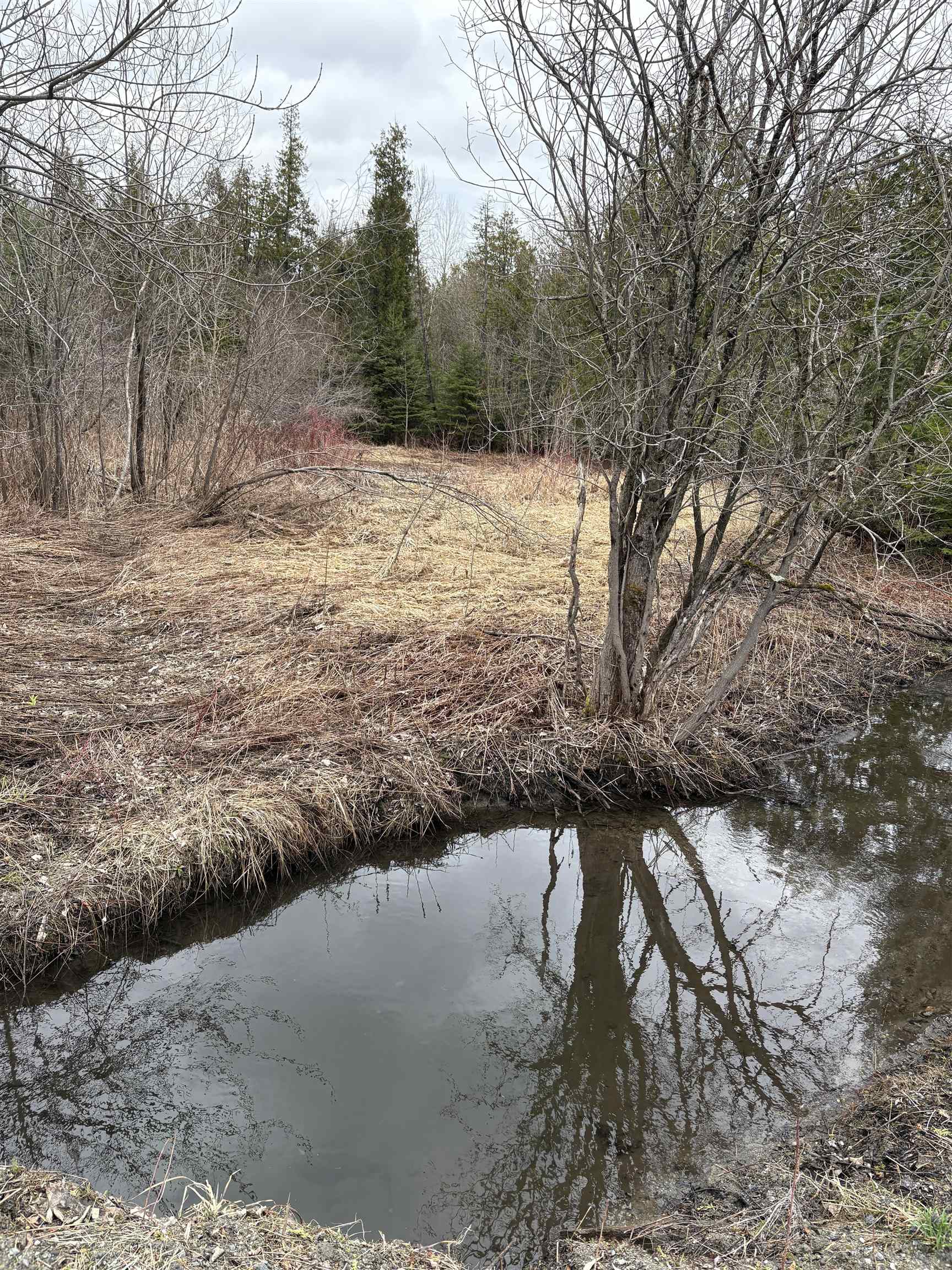 spring run off