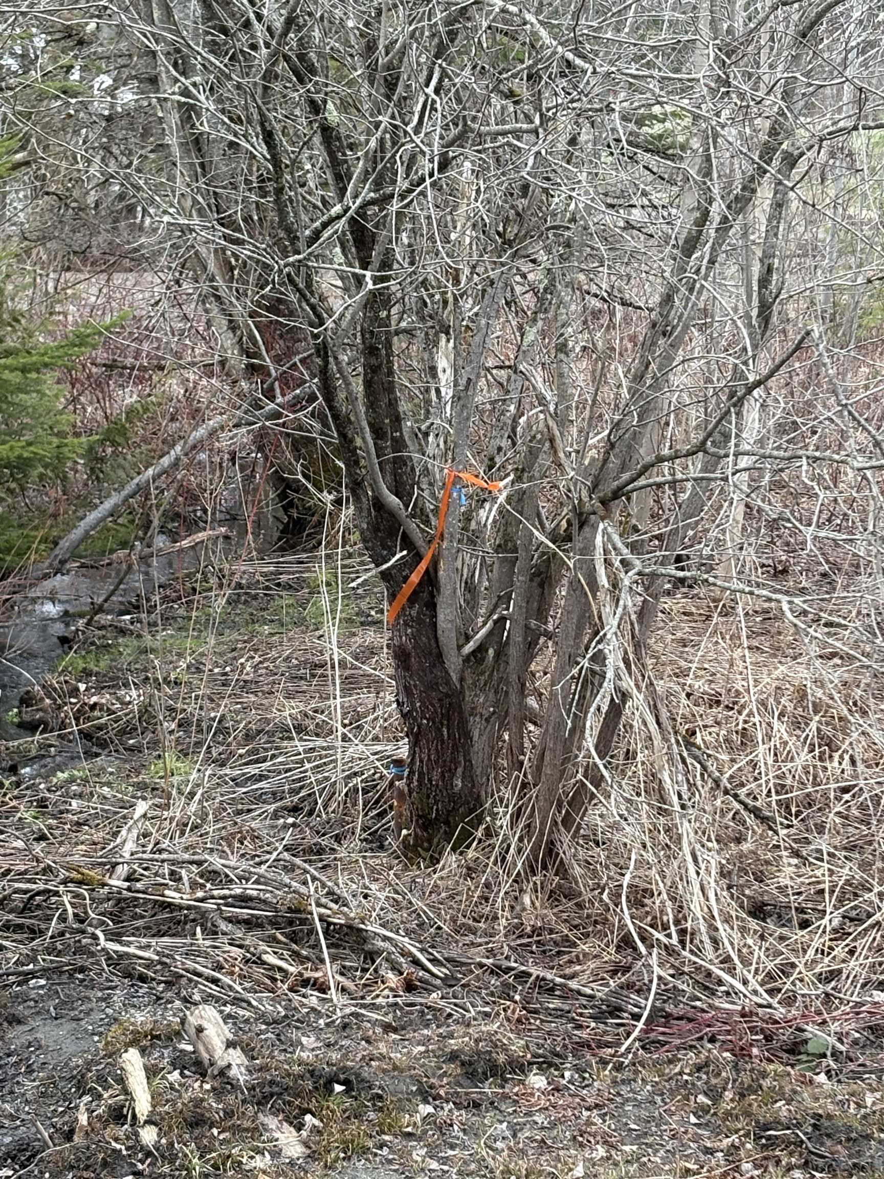 roadside pin by stream/brook