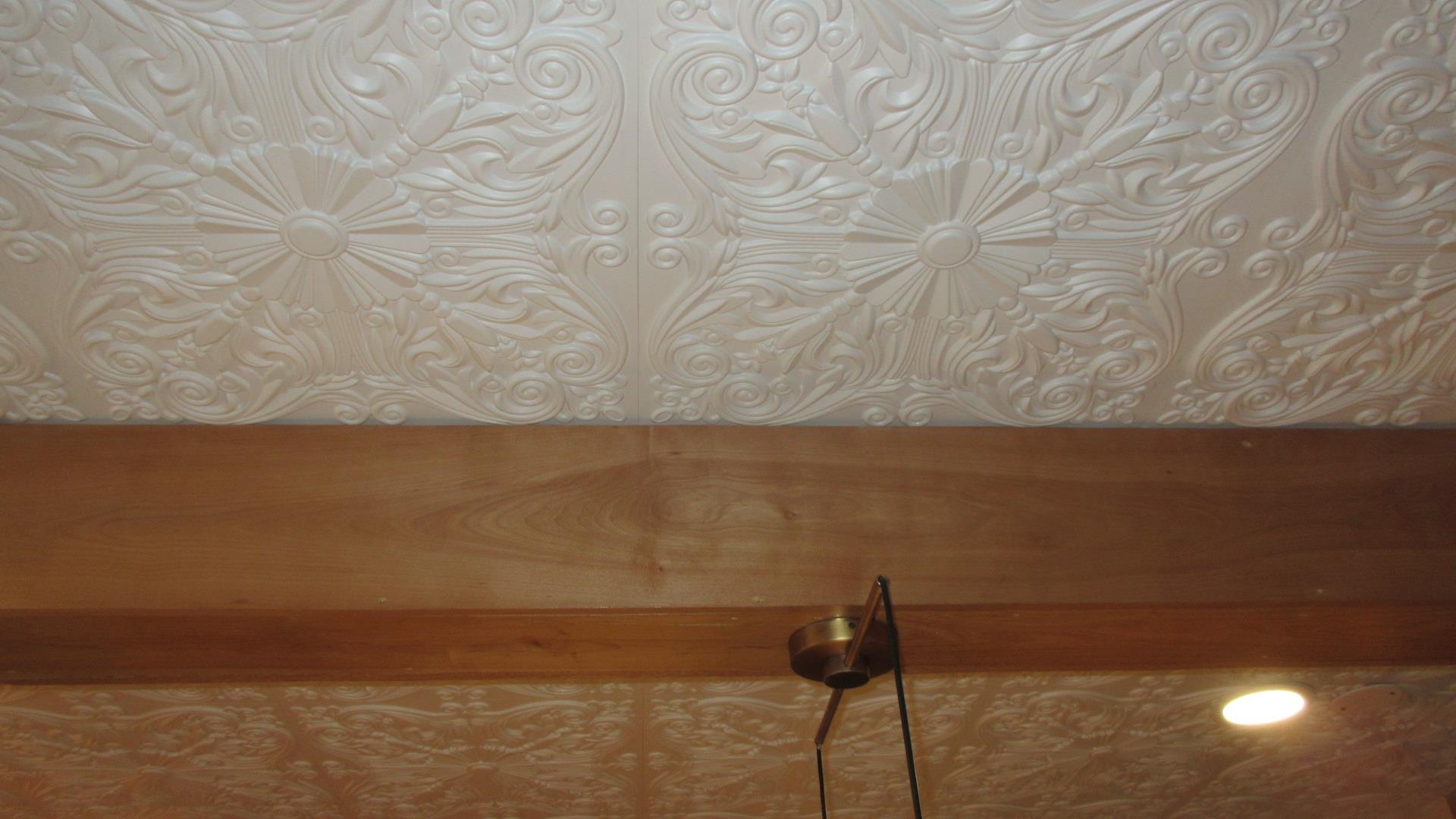 Kitchen Ceiling 23099427