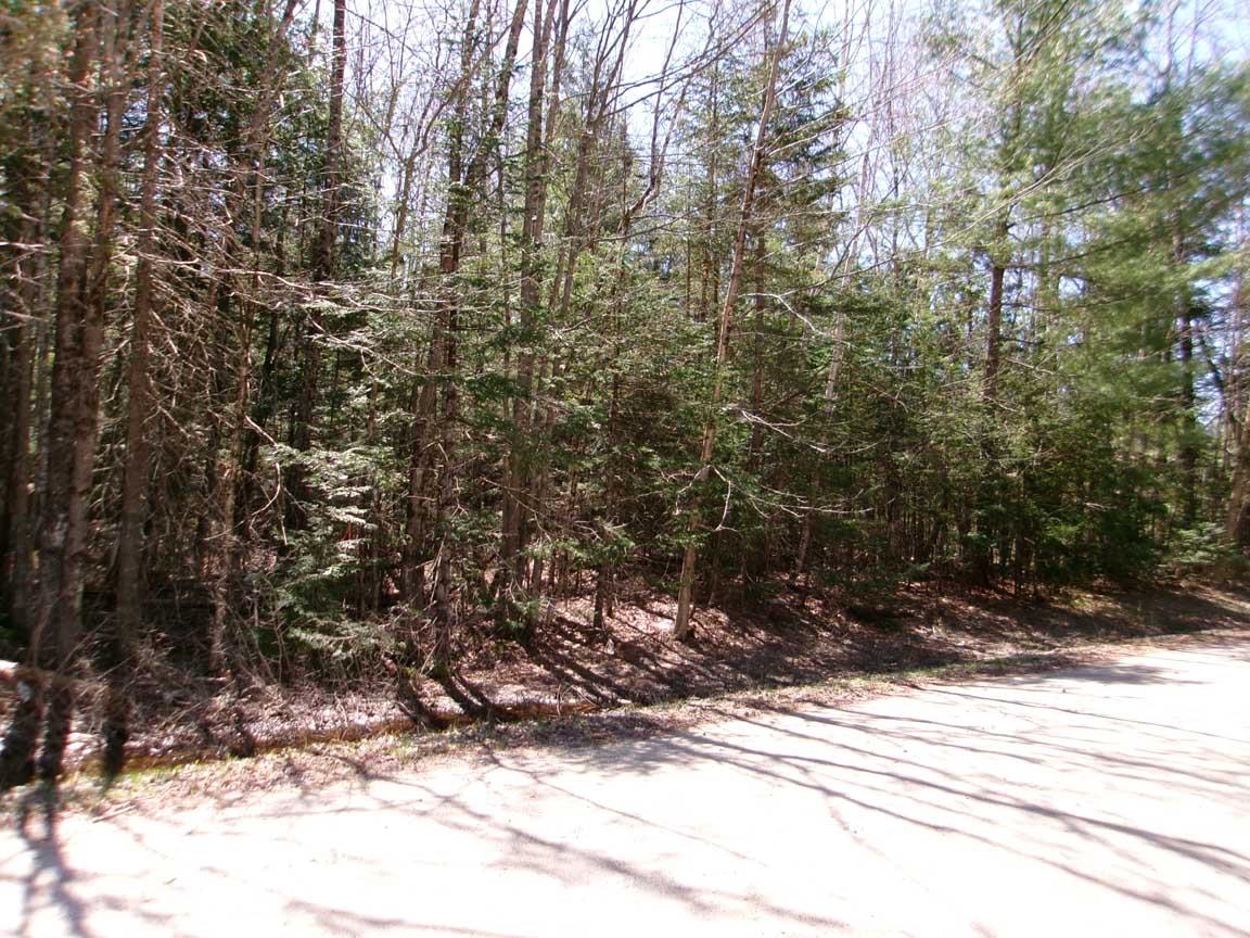DANBURY NH Land / Acres for sale