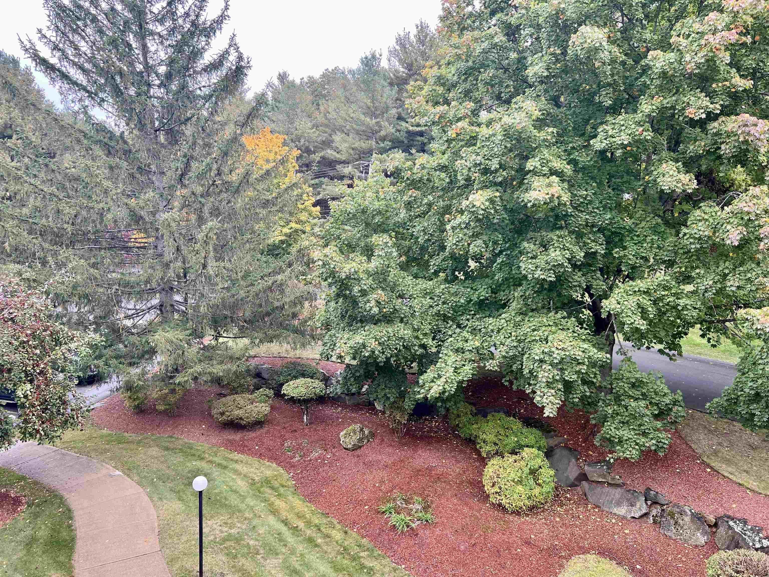 Photo 6 of 49