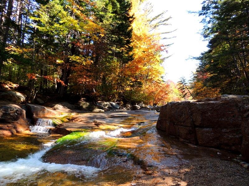 MLS #5039165 image #36