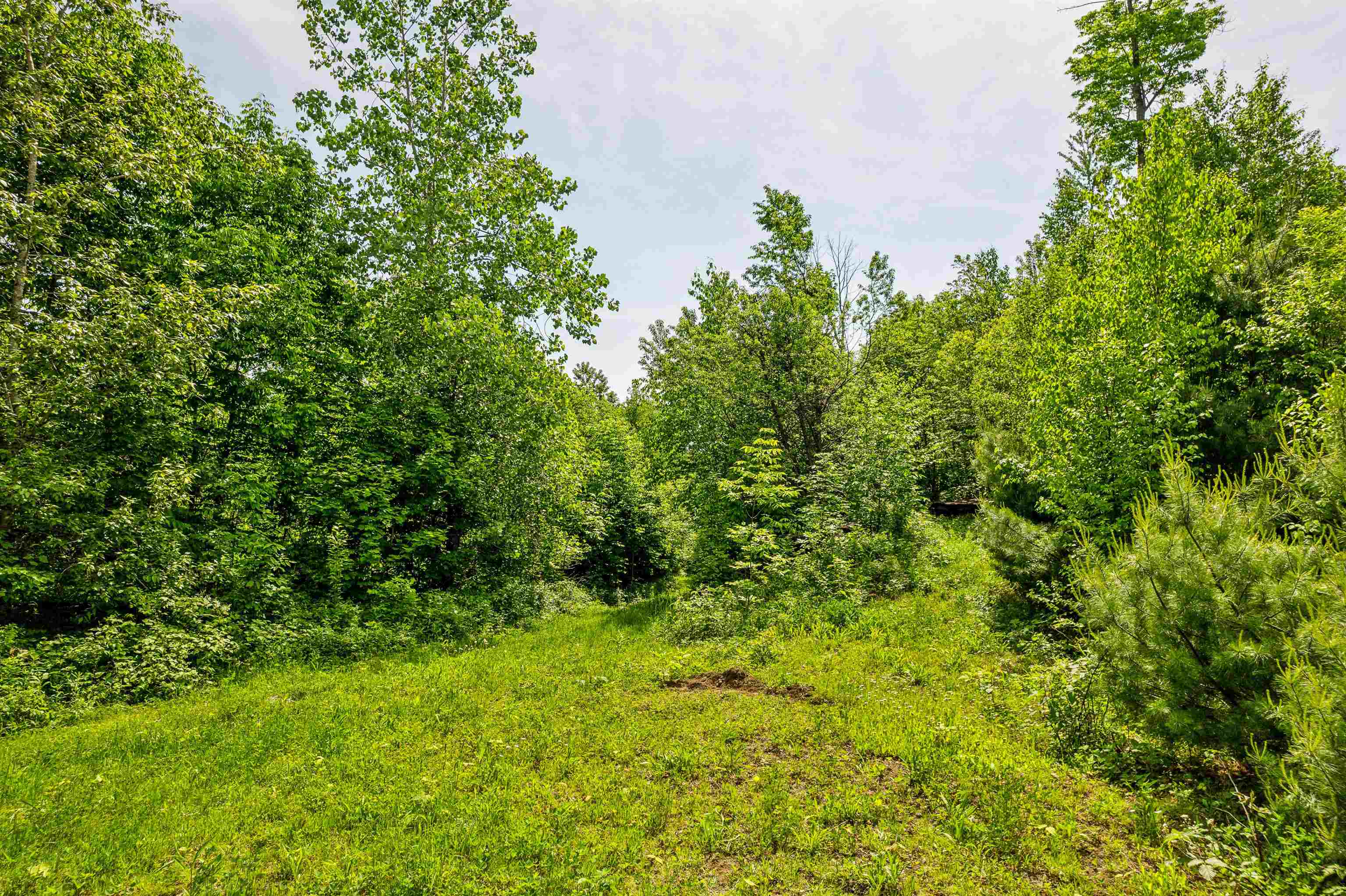 Vershire VT Land for sale $165,000 | 29.35 Acres  | Price Per Acre $0 