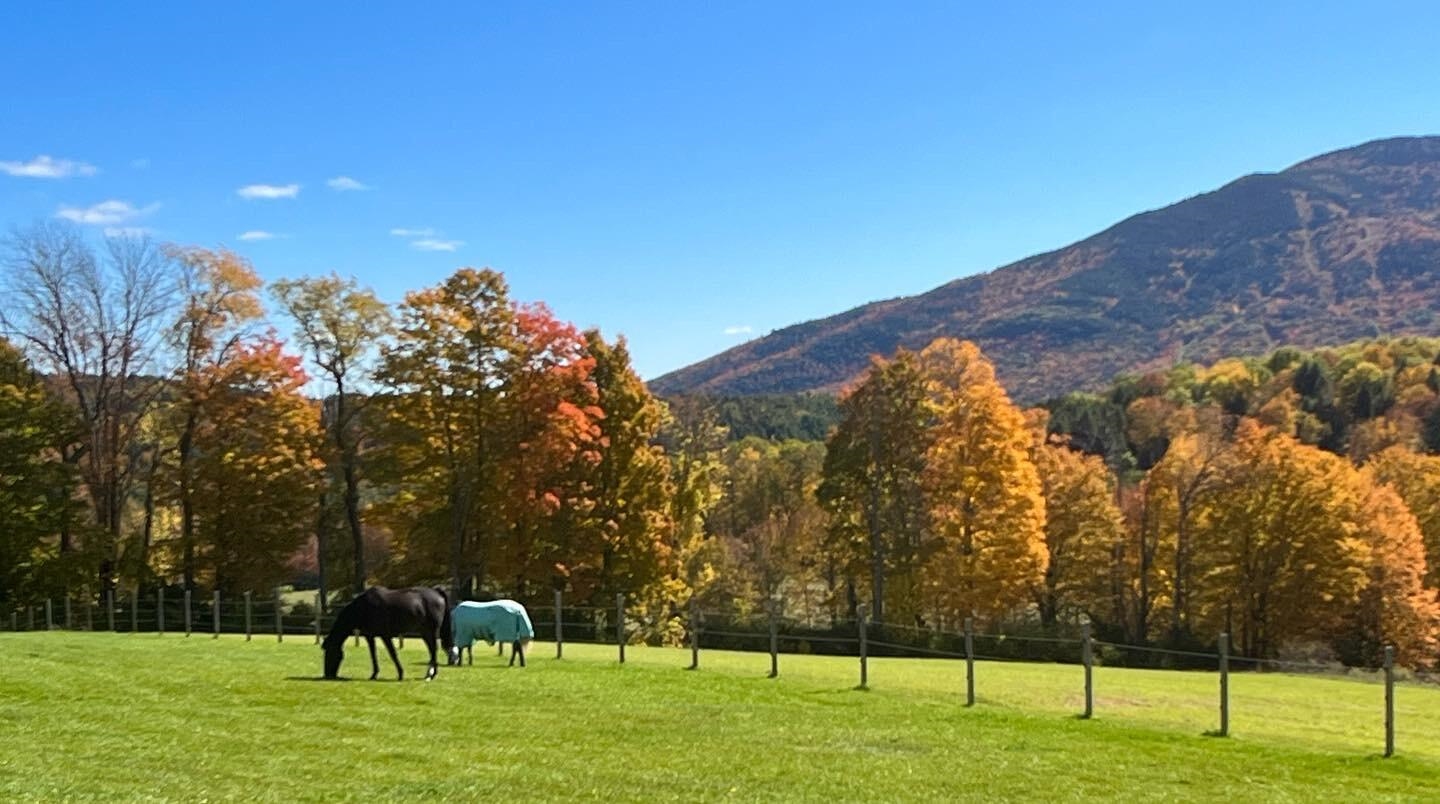 WEST WINDSOR VT Homes for sale