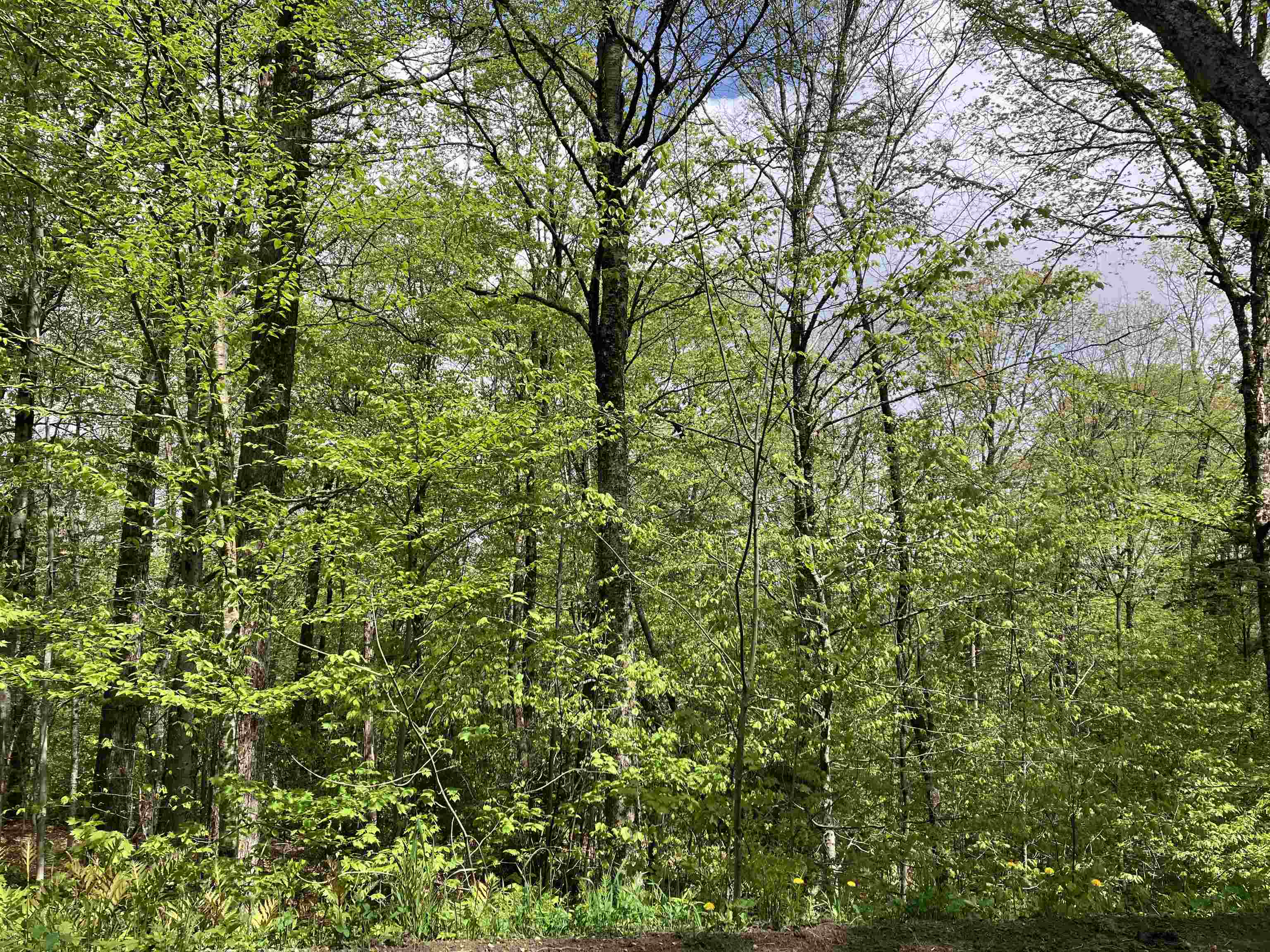 Wilmington VT Land for sale $25,000 | 0.3 Acres  | Price Per Acre $0 