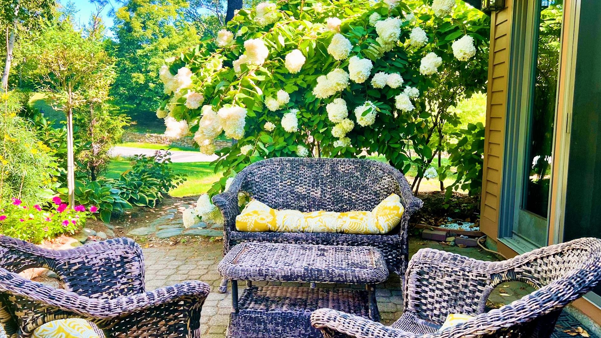 Patio 23097057