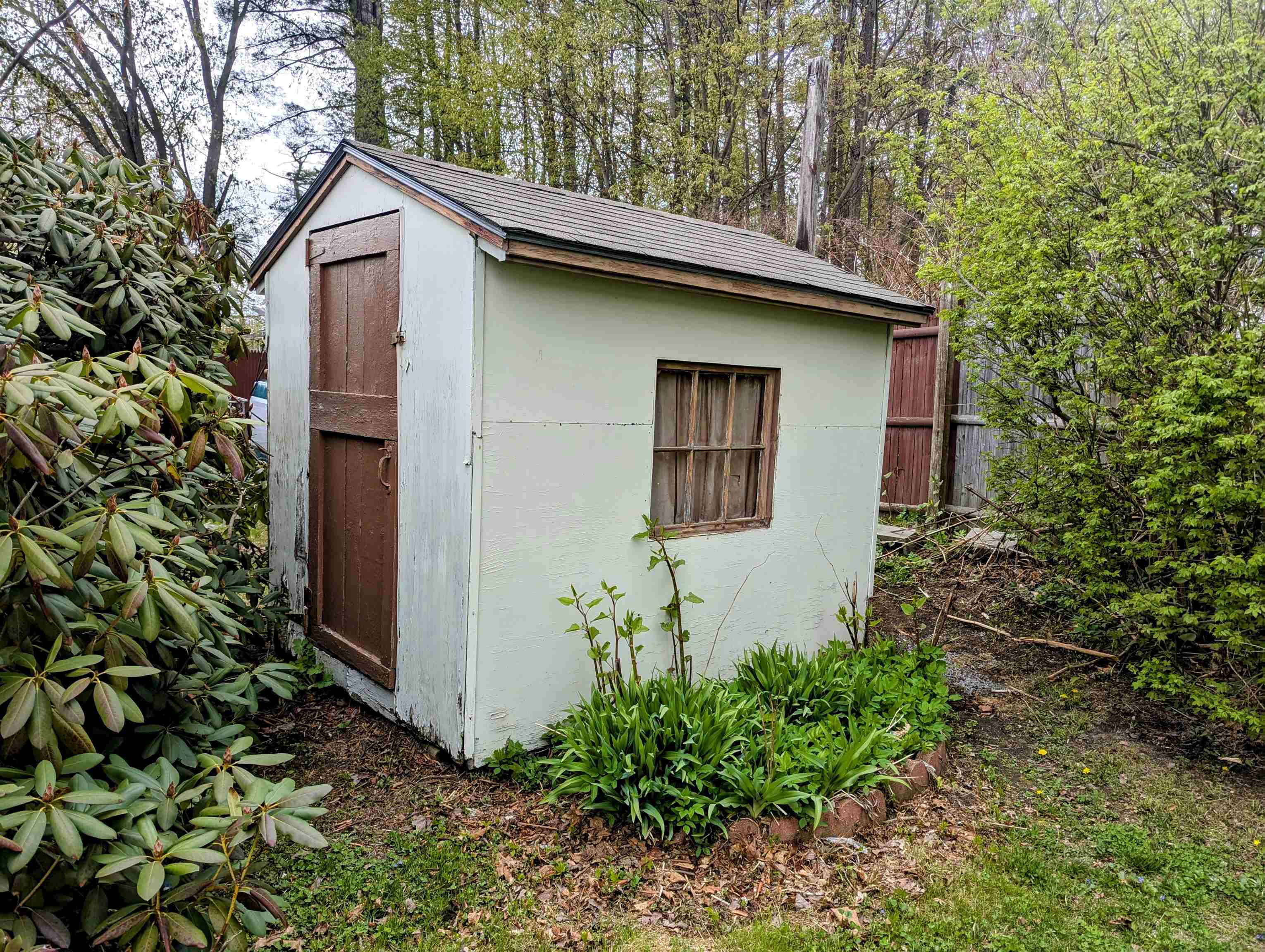 Small Shed 23145958