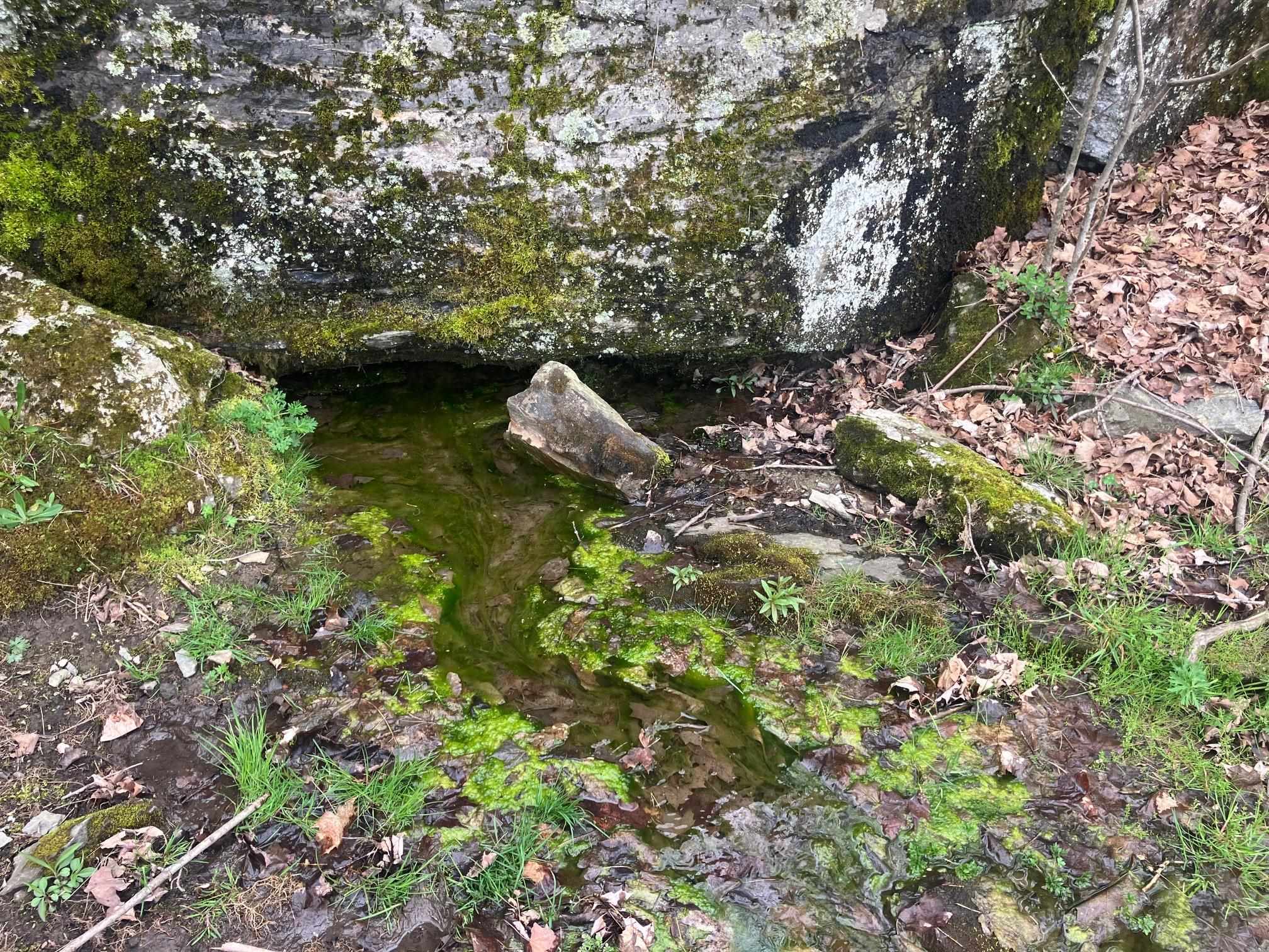 MLS #5039699 image #12