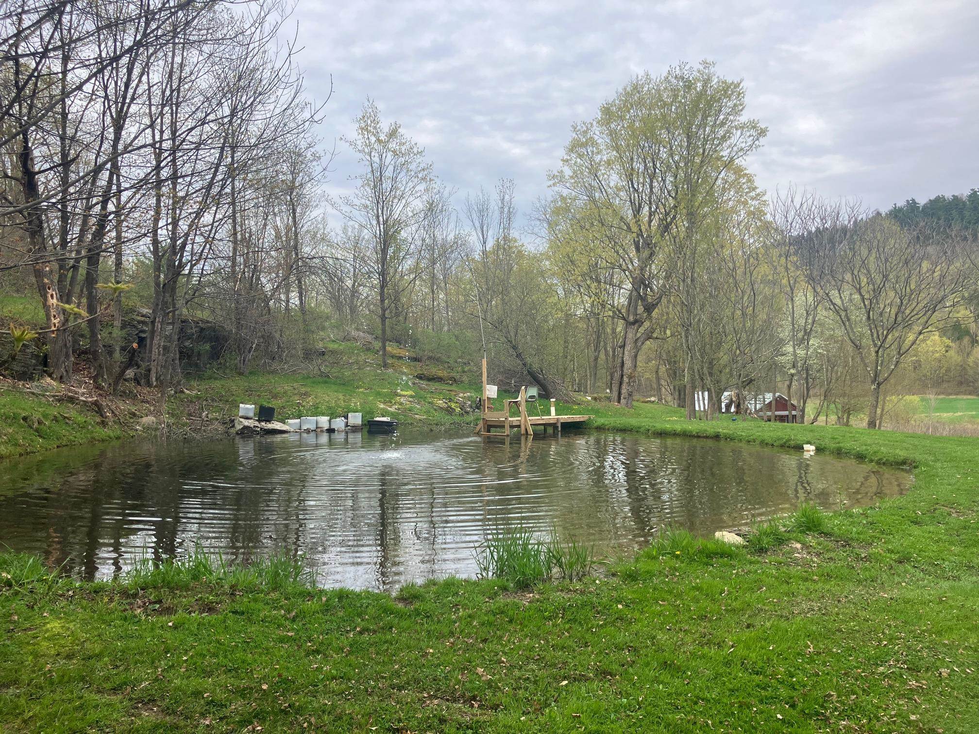 MLS #5039699 image #13