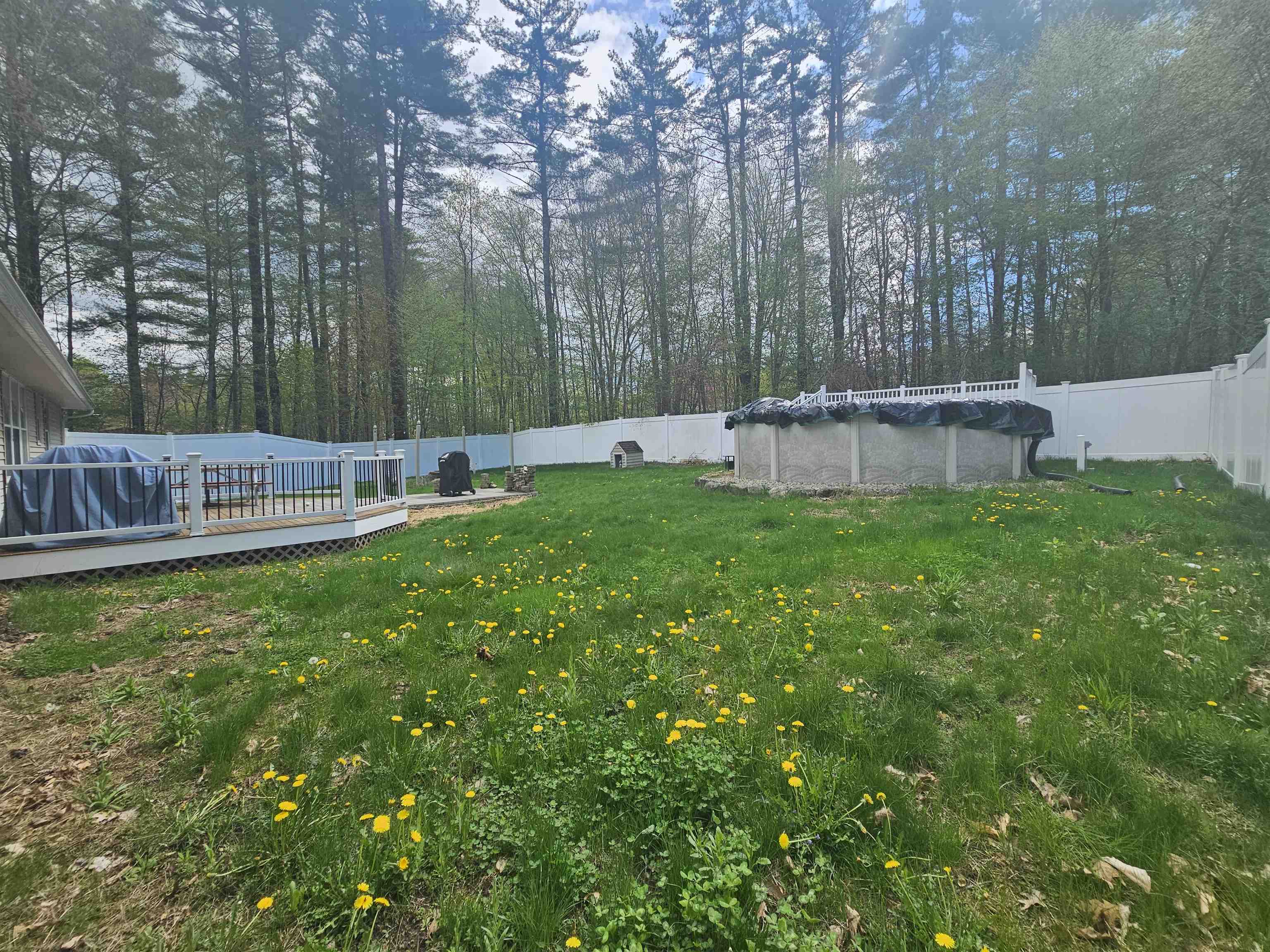 Photo 22 of 25