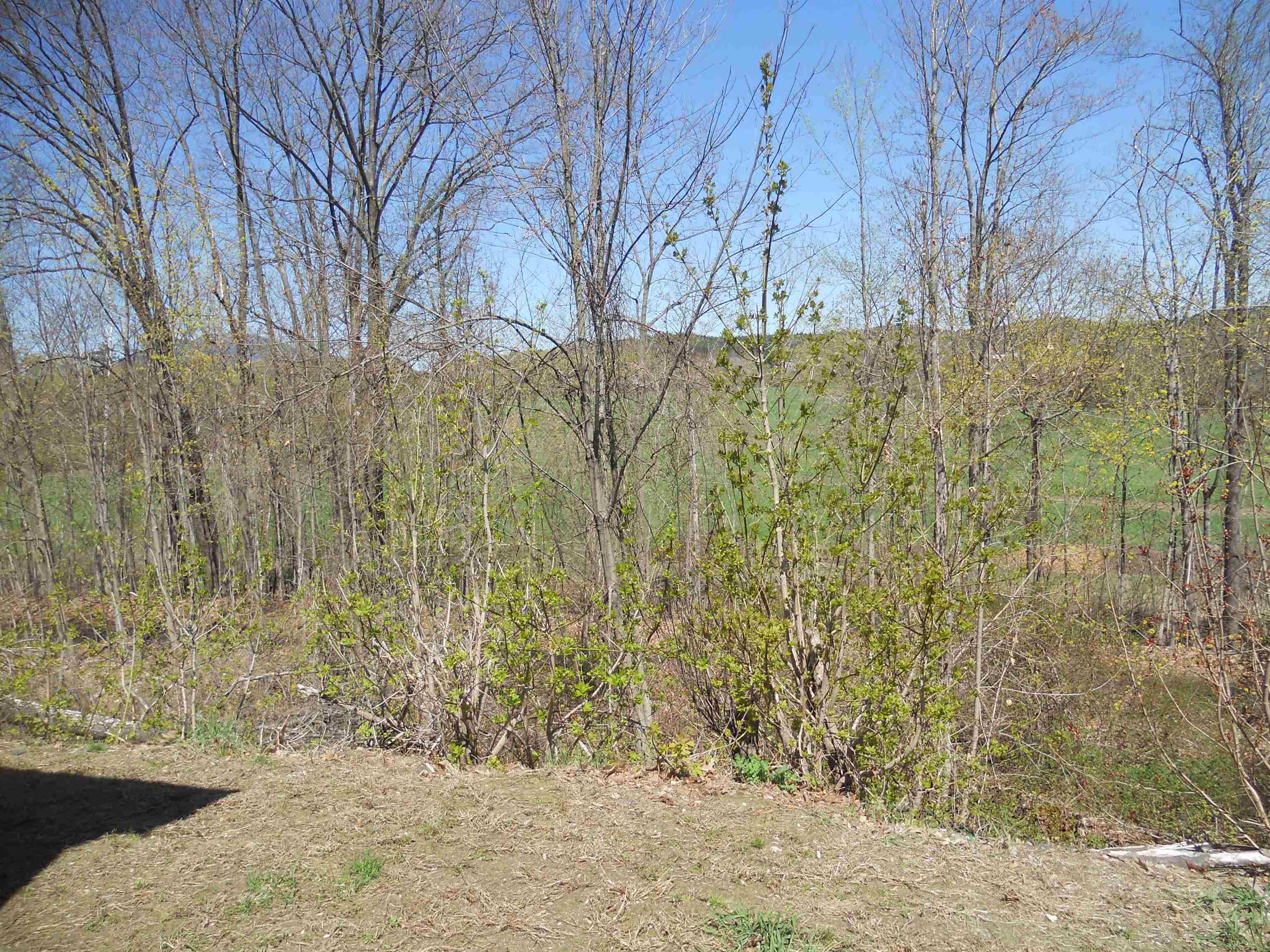 Wide Views to East